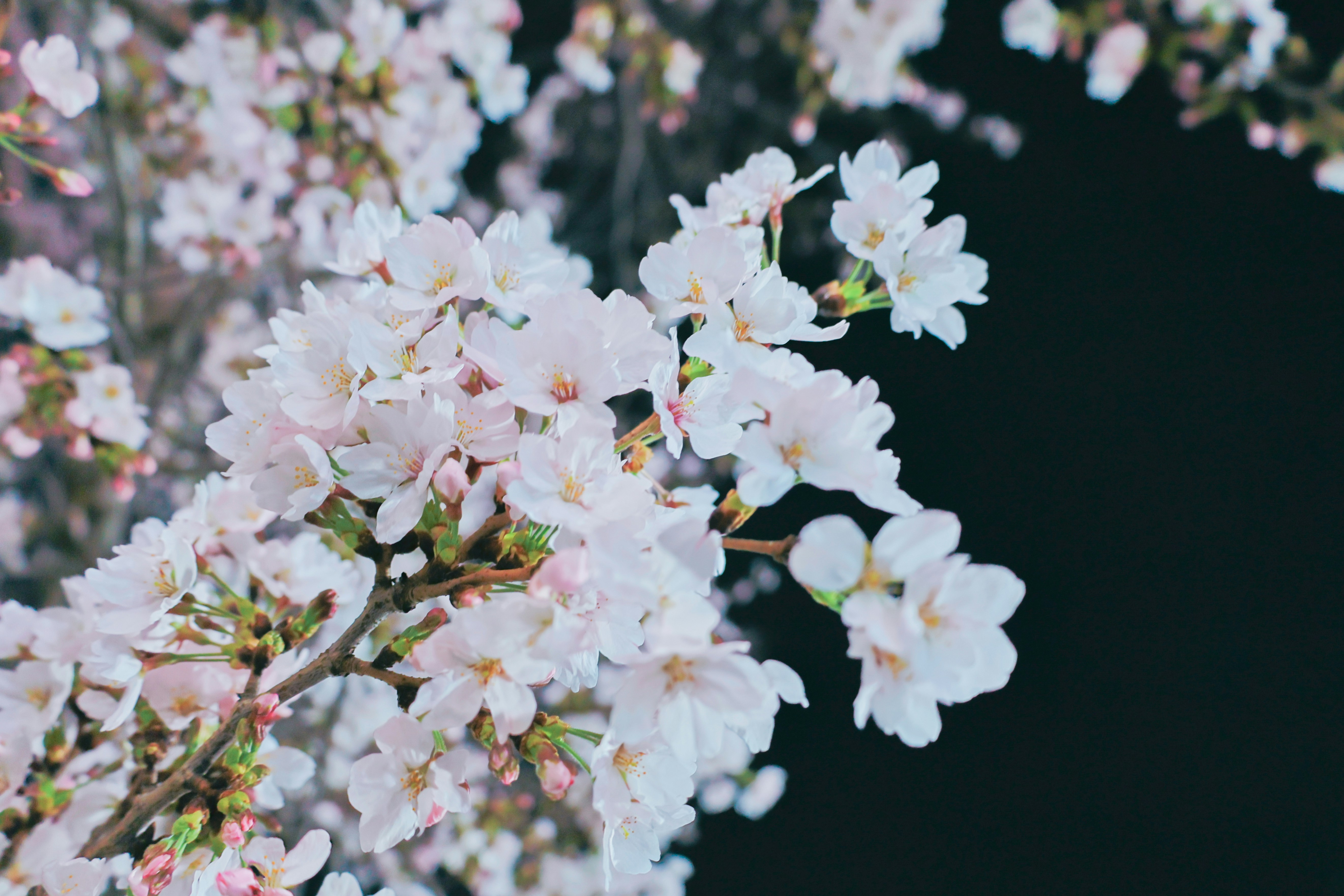 Photo by cuitt