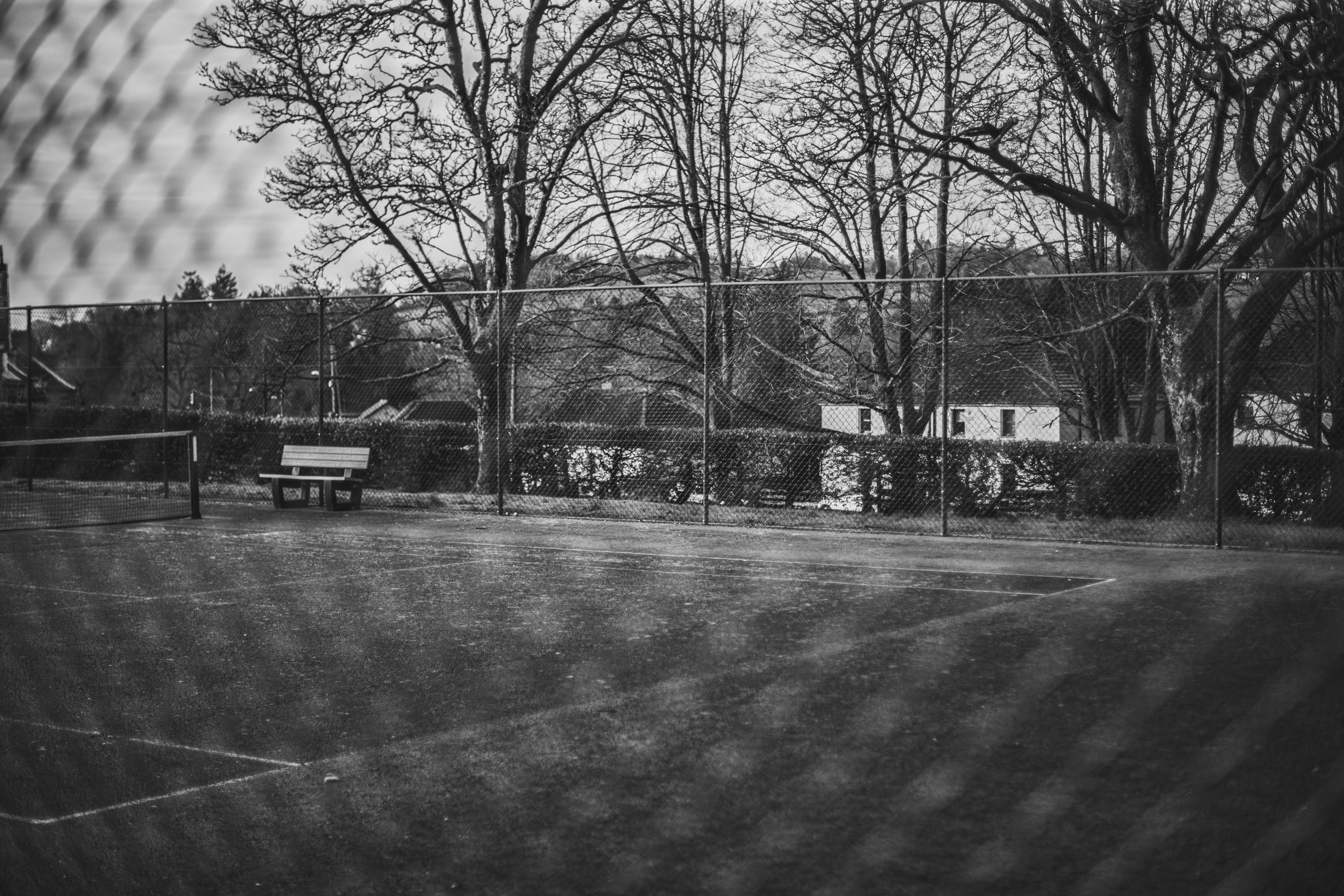 Empty park court with bench and trees in background