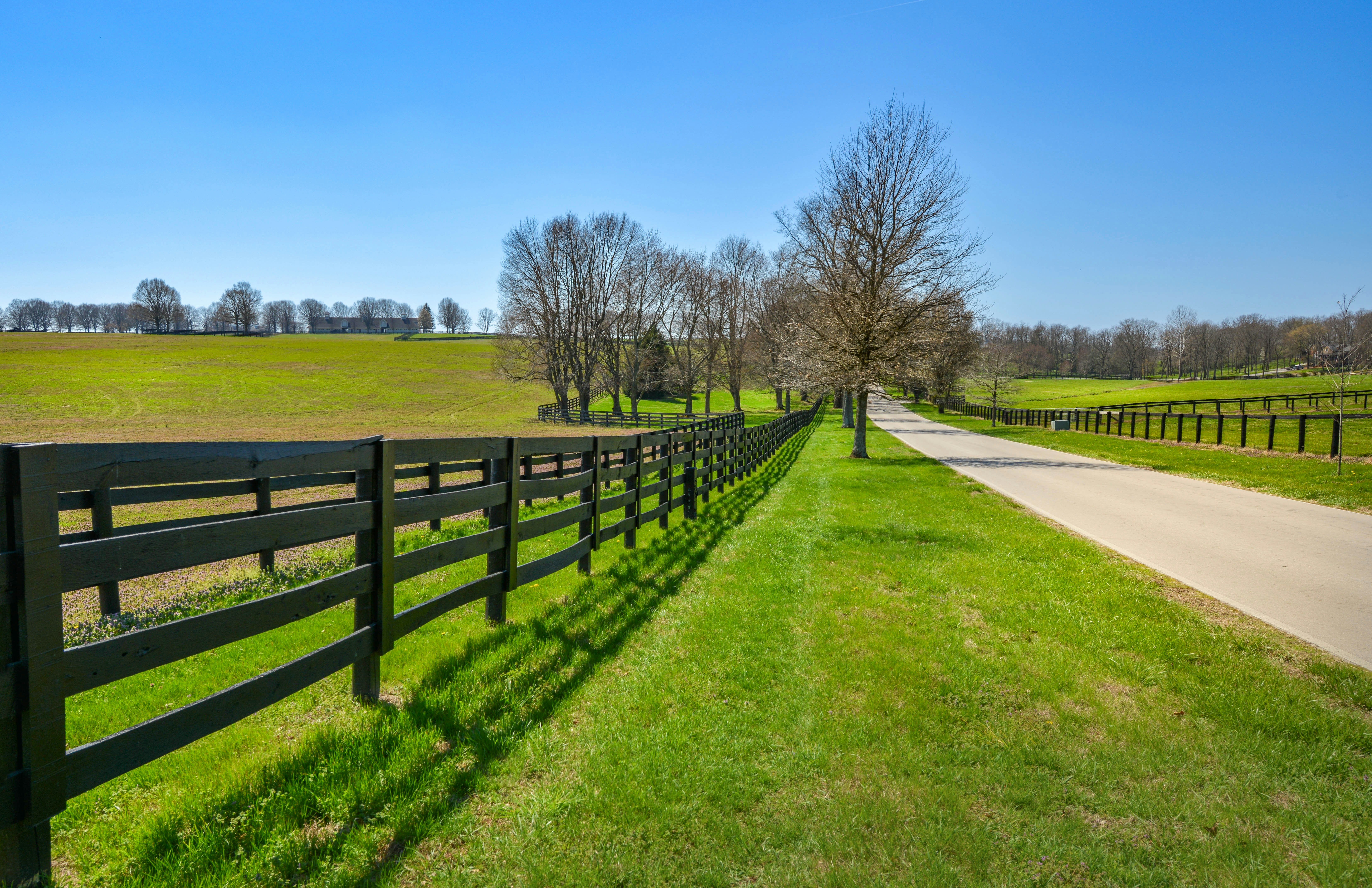 A paved road runs alongside a black wooden fence
