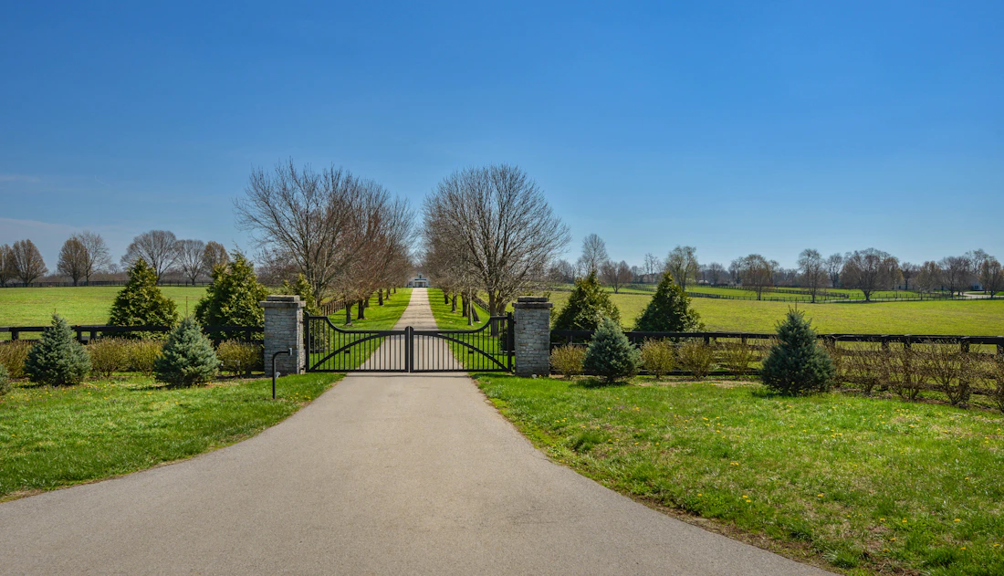 Long tree-lined private driveway leading to a gated estate