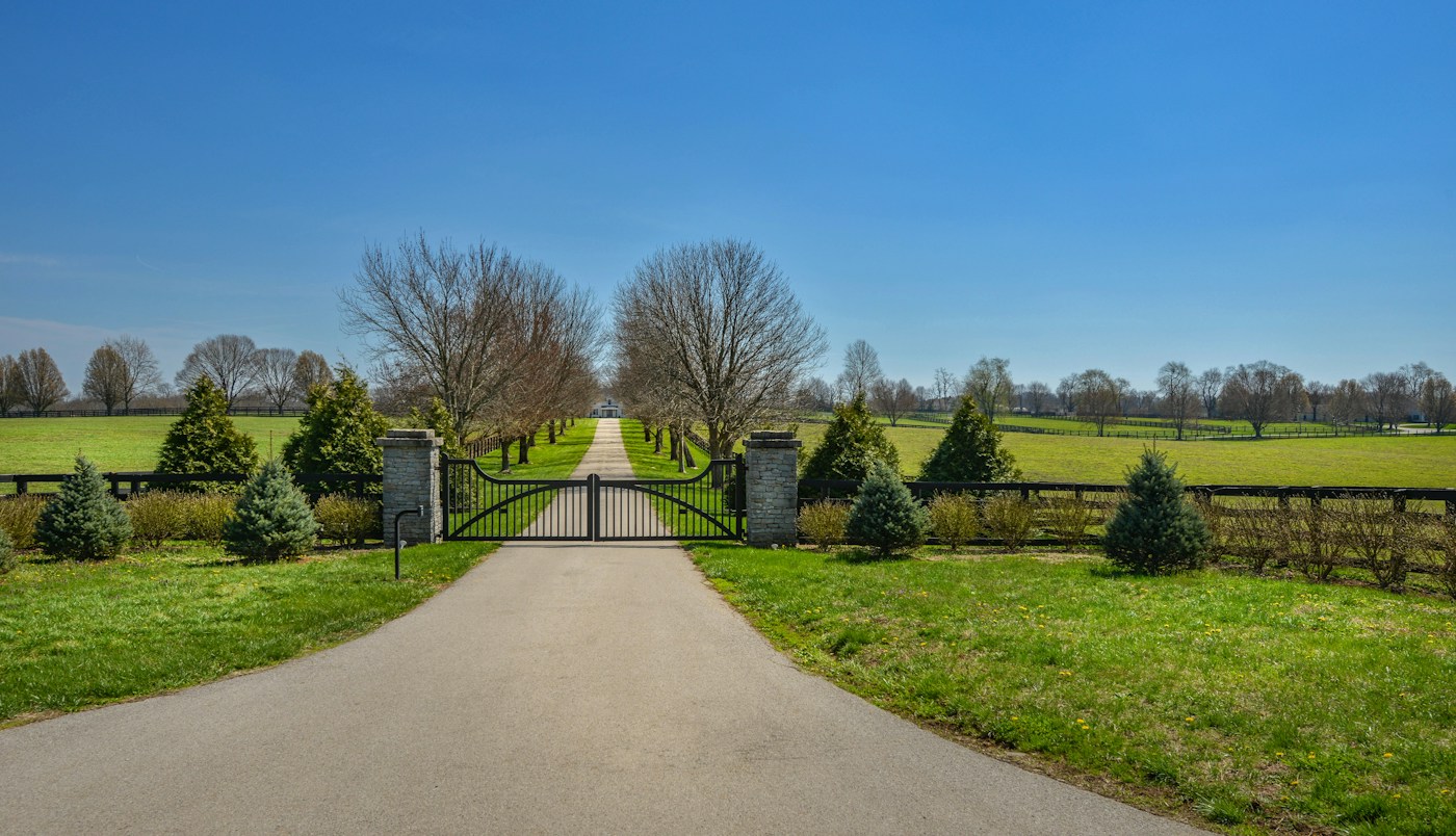 Old-Growth Estates, Mississauga