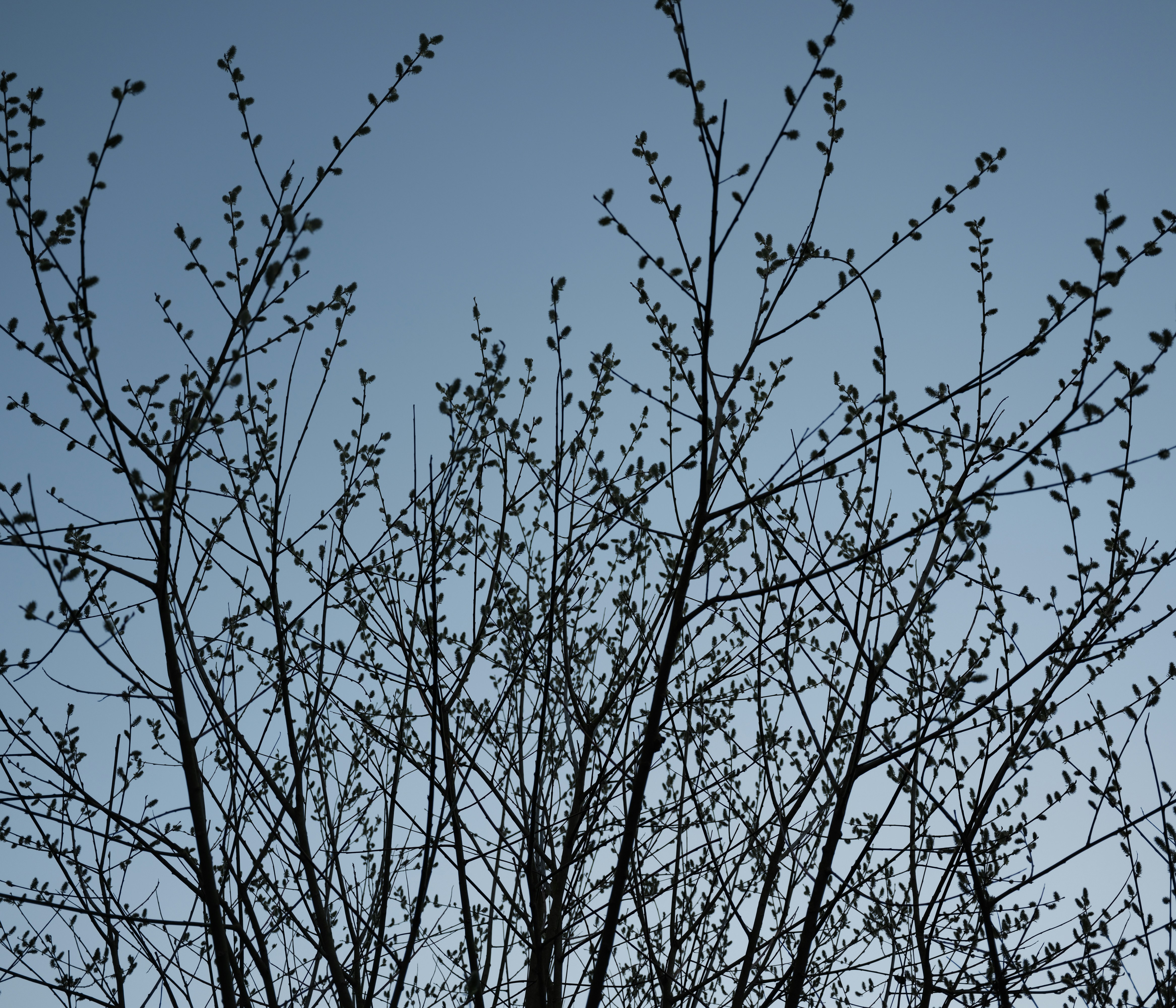 Photo by tanyabarrow