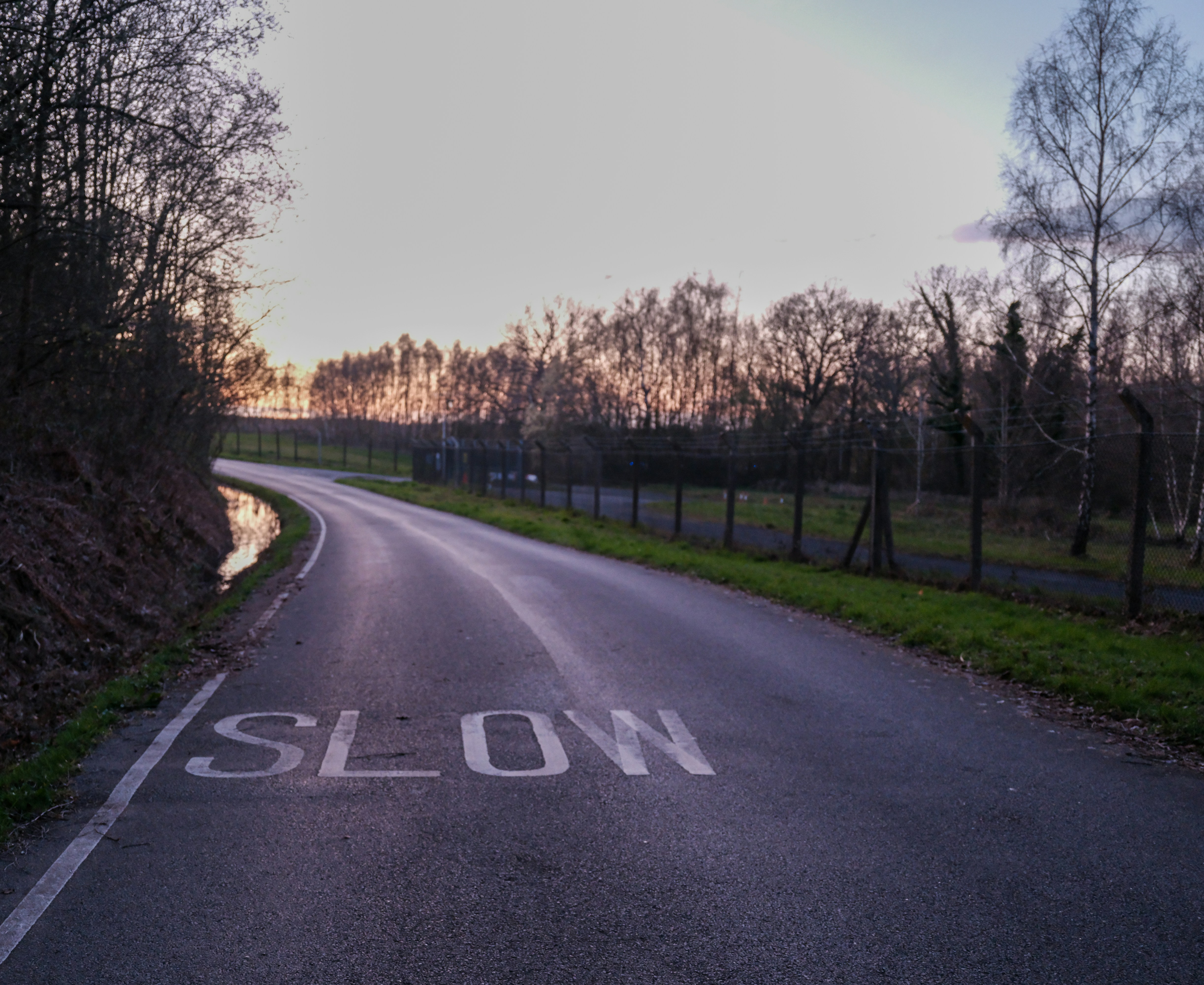 Road at sunset with visible lane markings