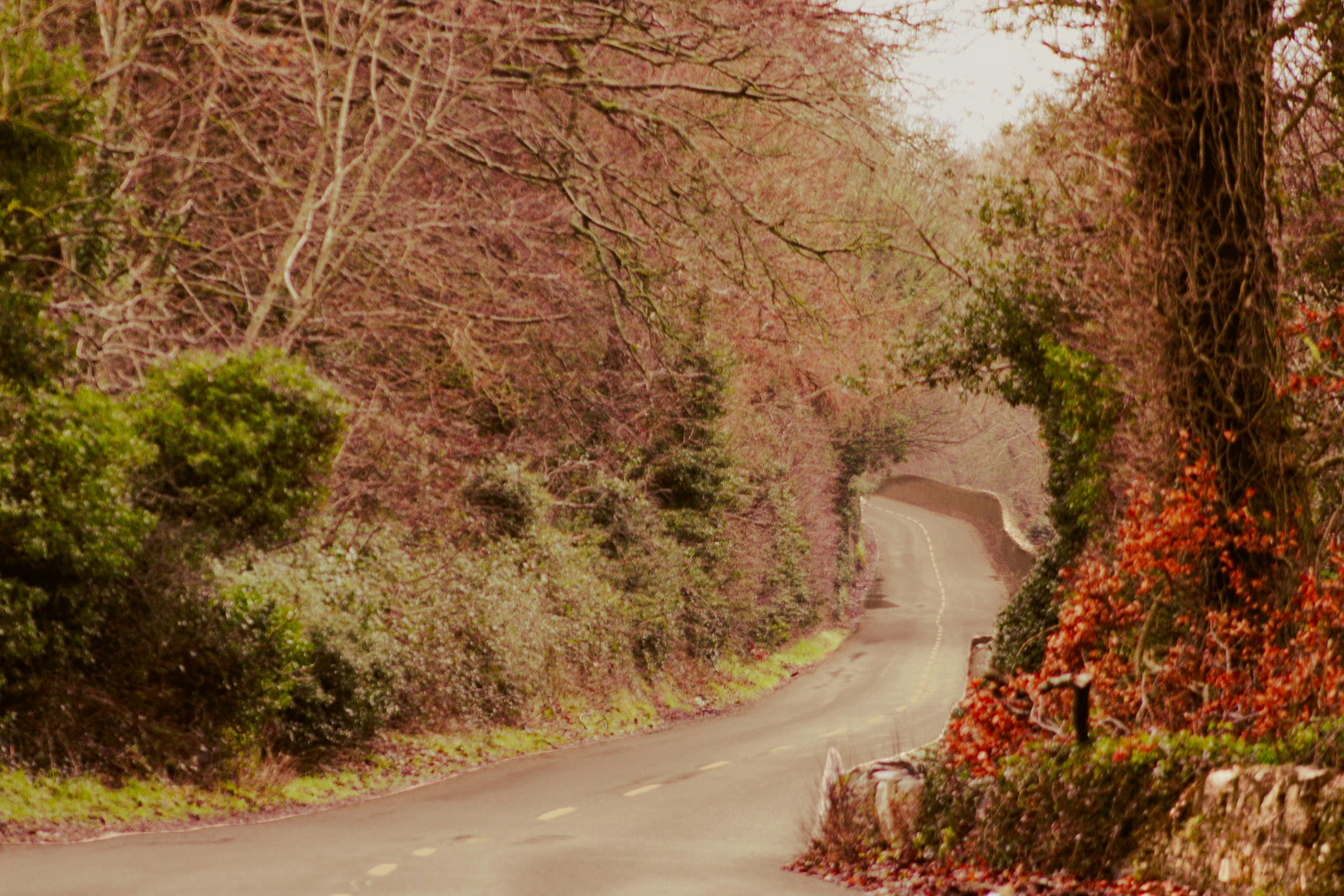 Expat Guide to Living in Maidstone (2026)