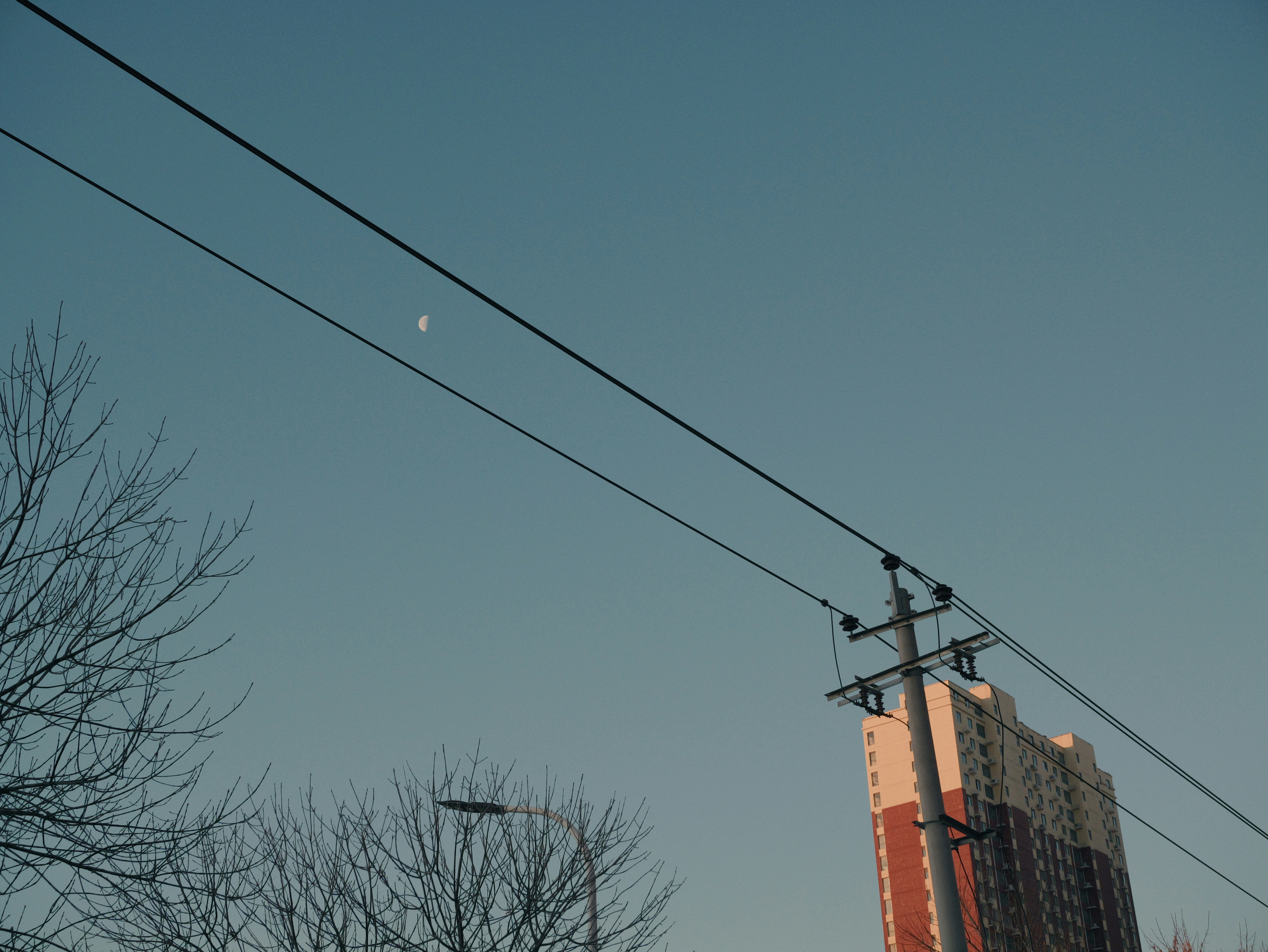 衡水安平/Anping Hengshui