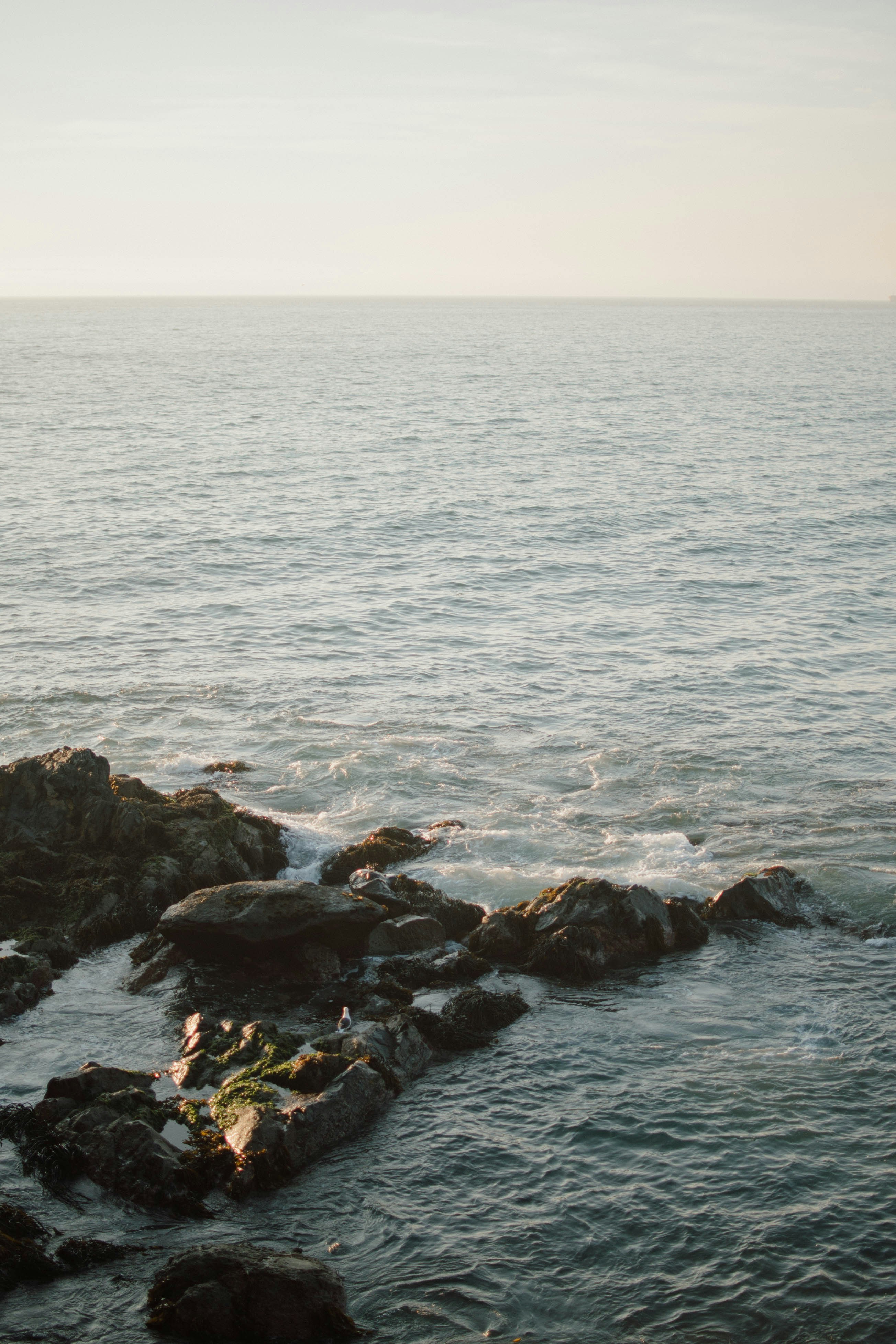 Photo by augustklynn