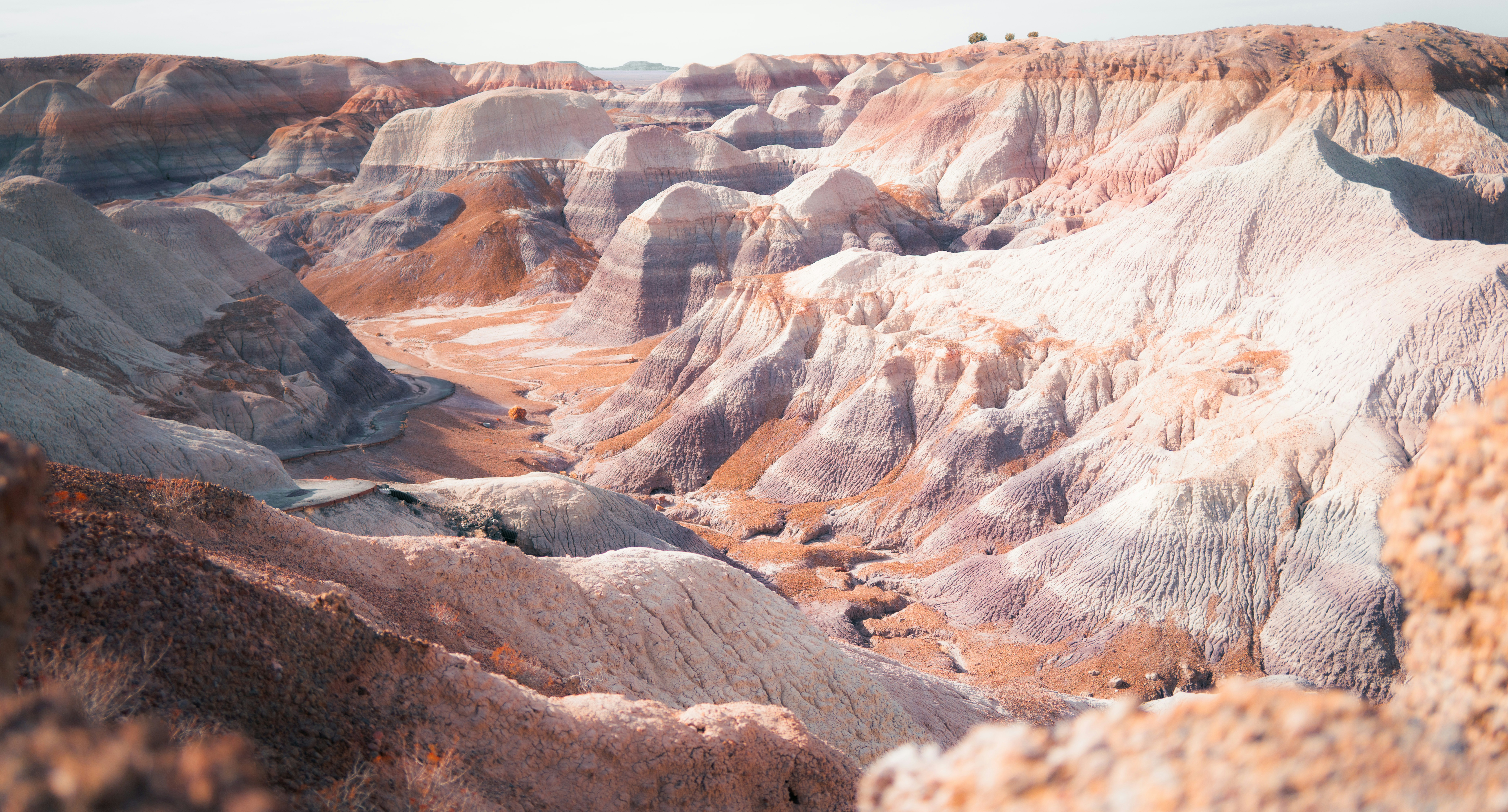 Photo by korner_kosmos