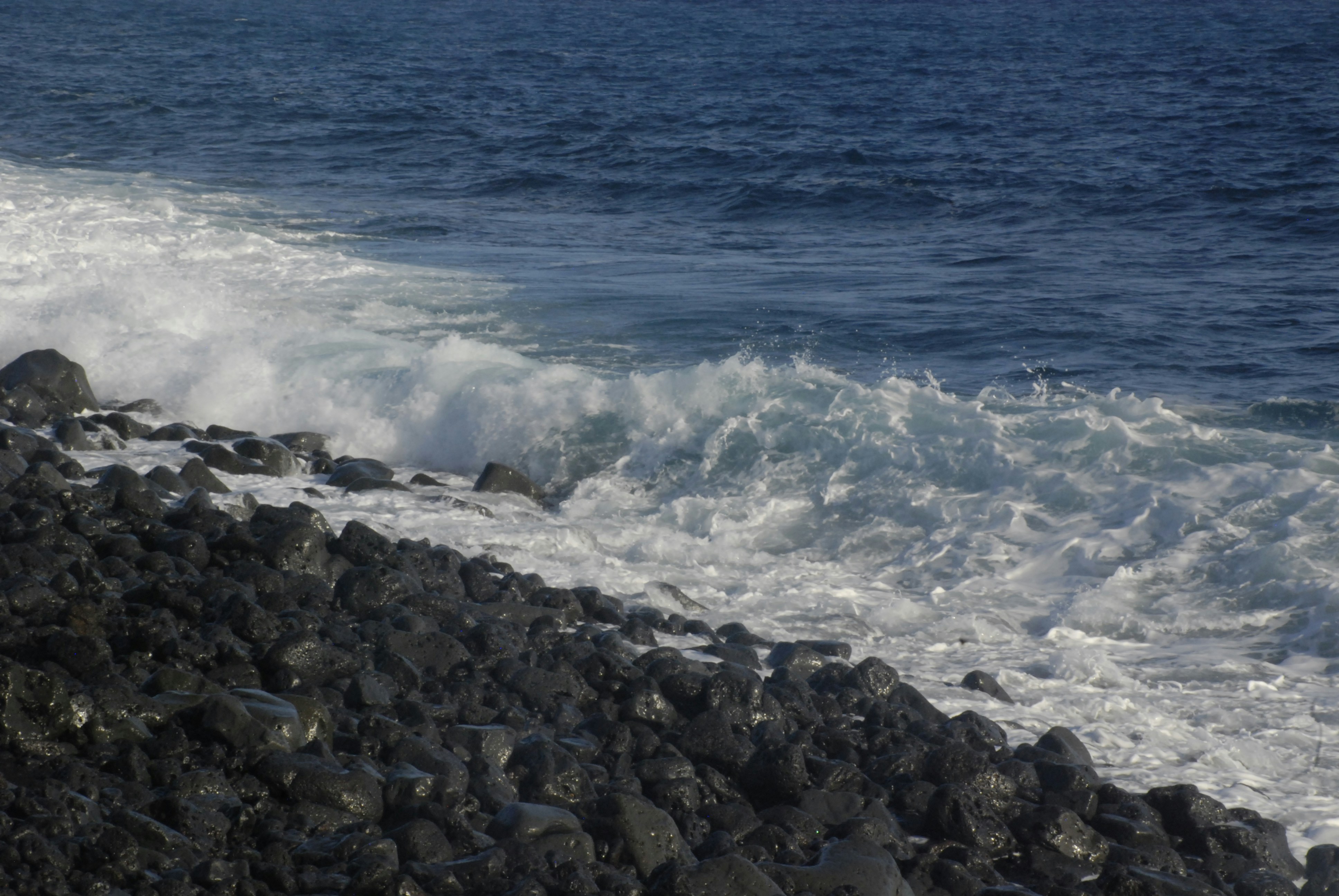 Photo by alissa_photos