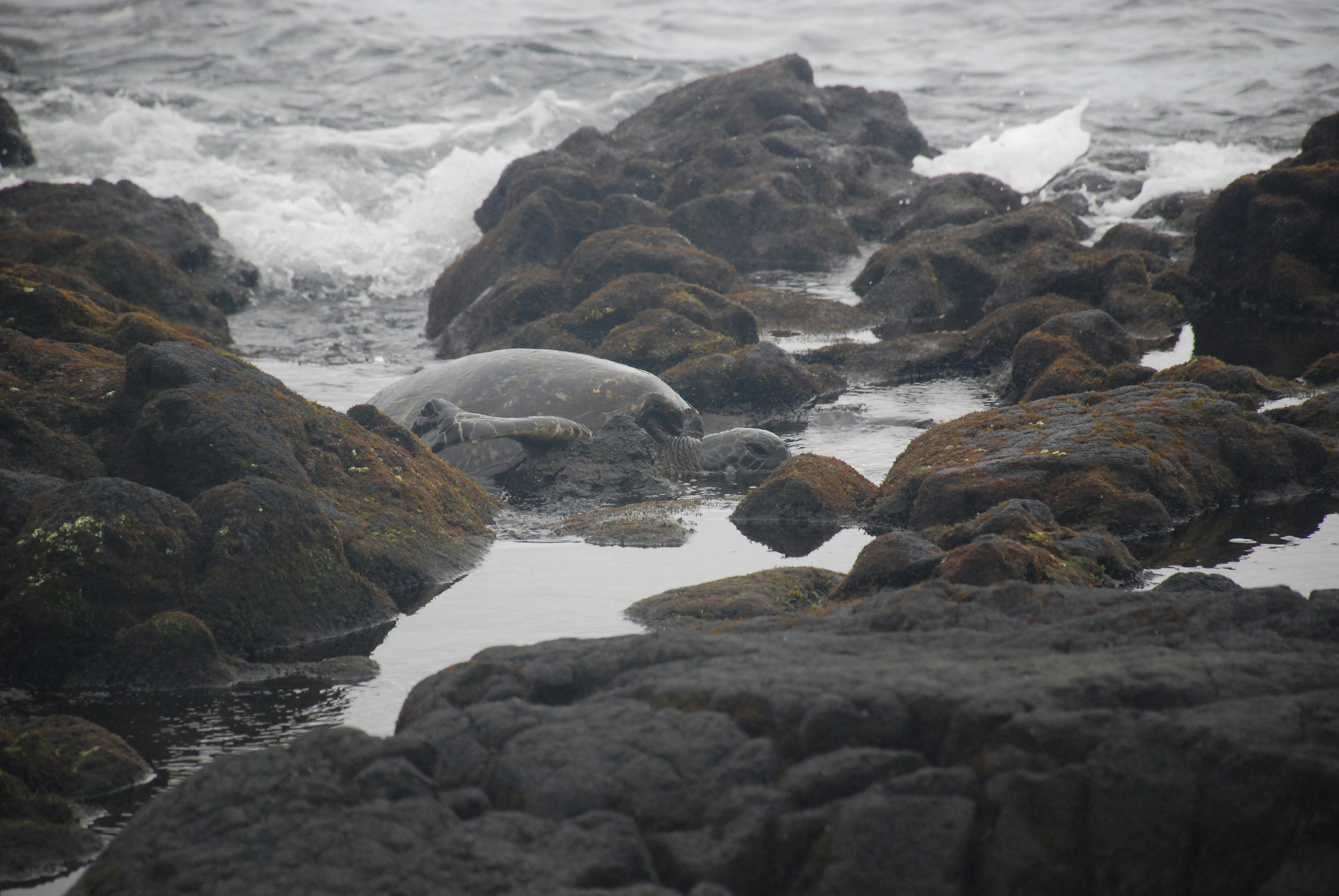 Photo by alissa_photos