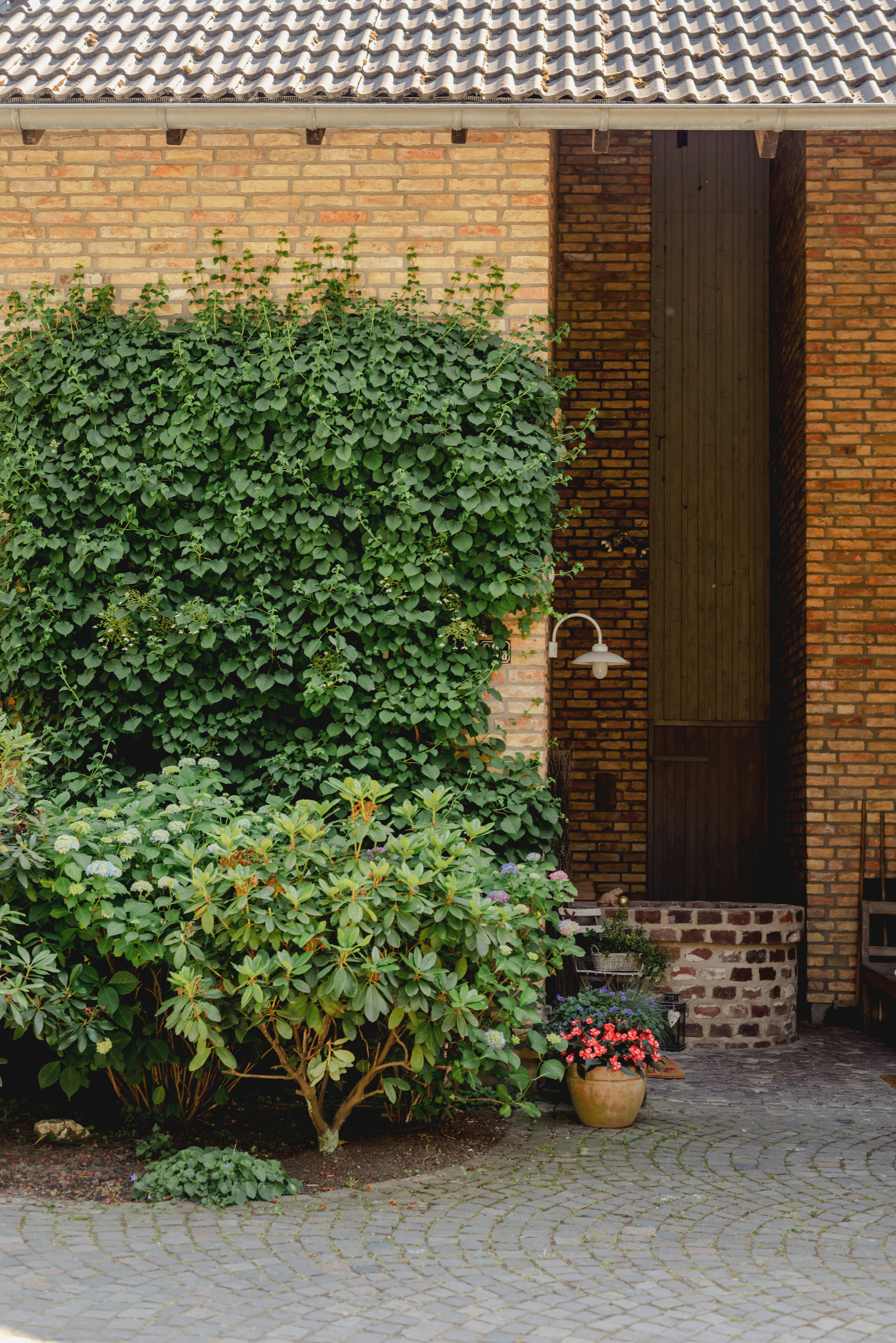 Photo by eugenivy_now