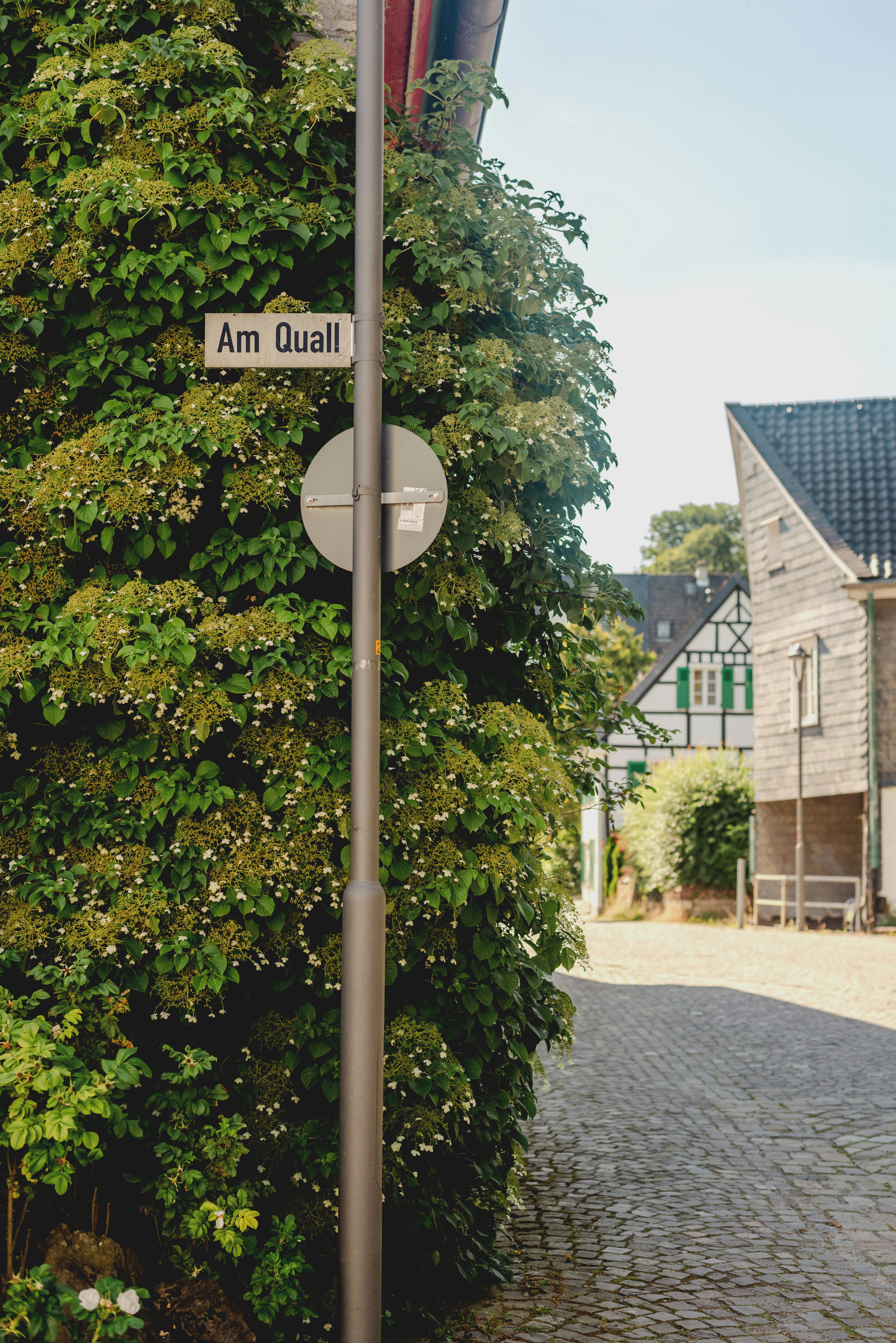 Photo by eugenivy_now