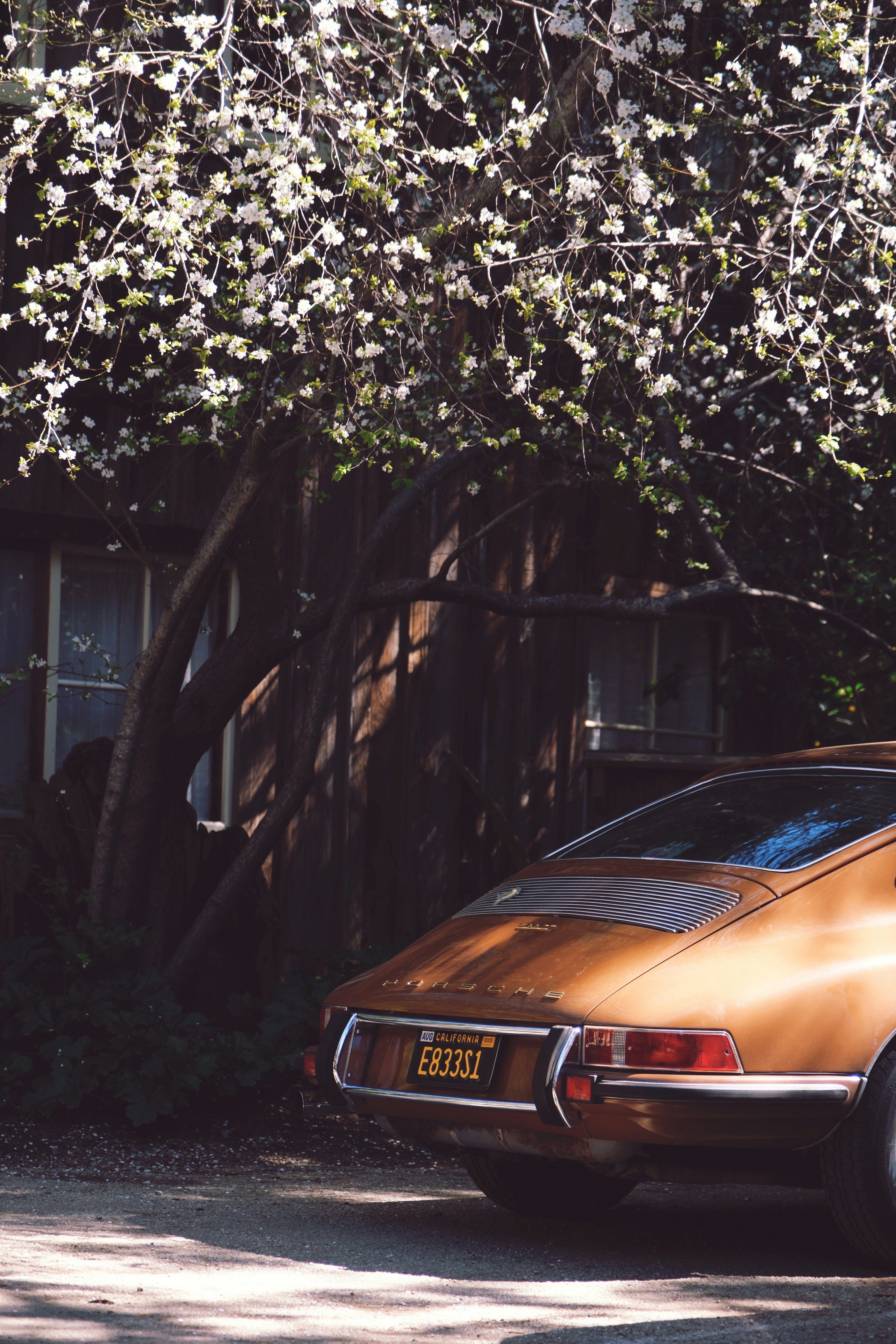 Orange vintage car parked near a wooden building