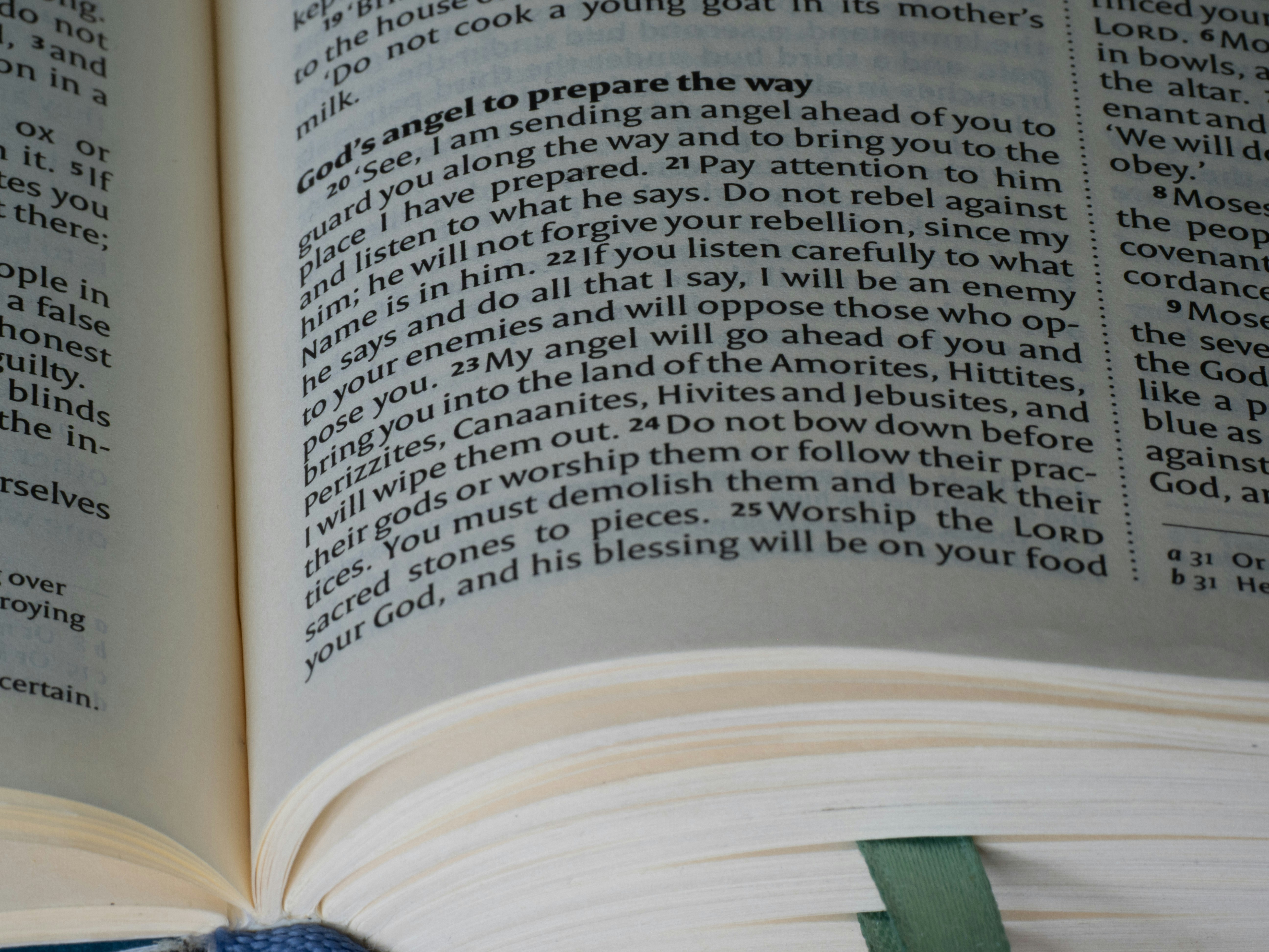 The Book of Exodus