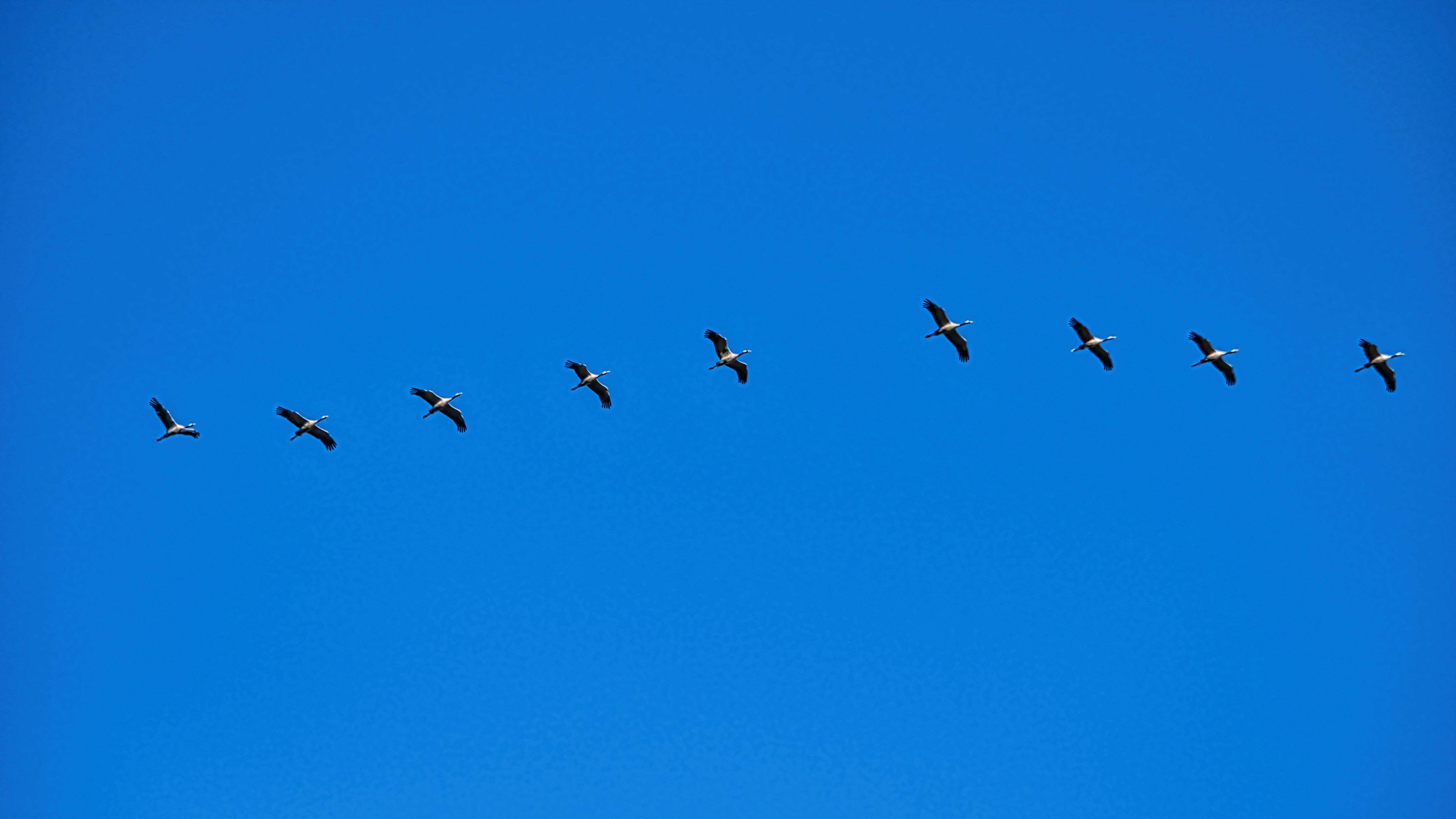 Enbart drömmar räcker inte – jobb och livsstil styr Finland-flytten!