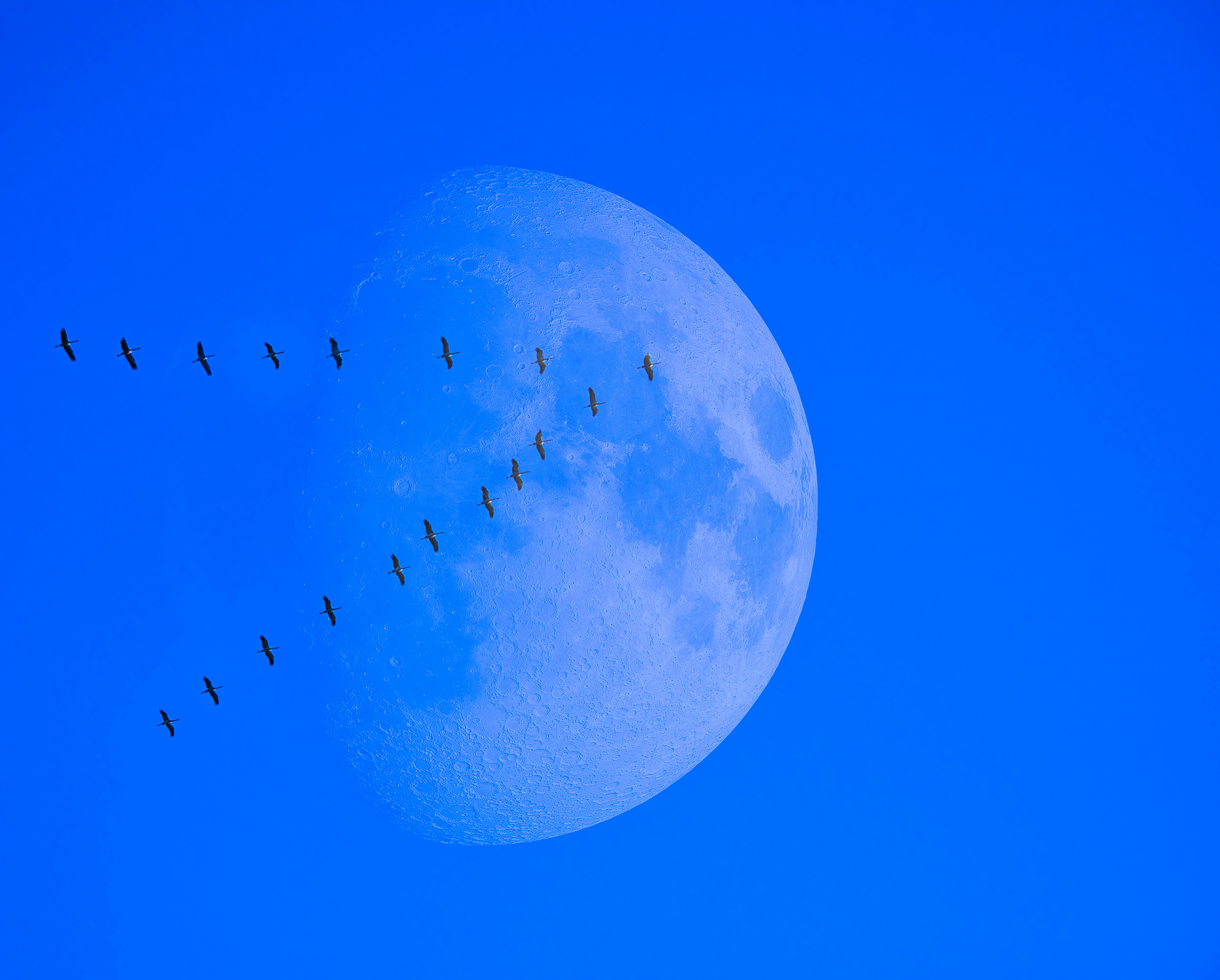 An Open Letter to the Prime Minister