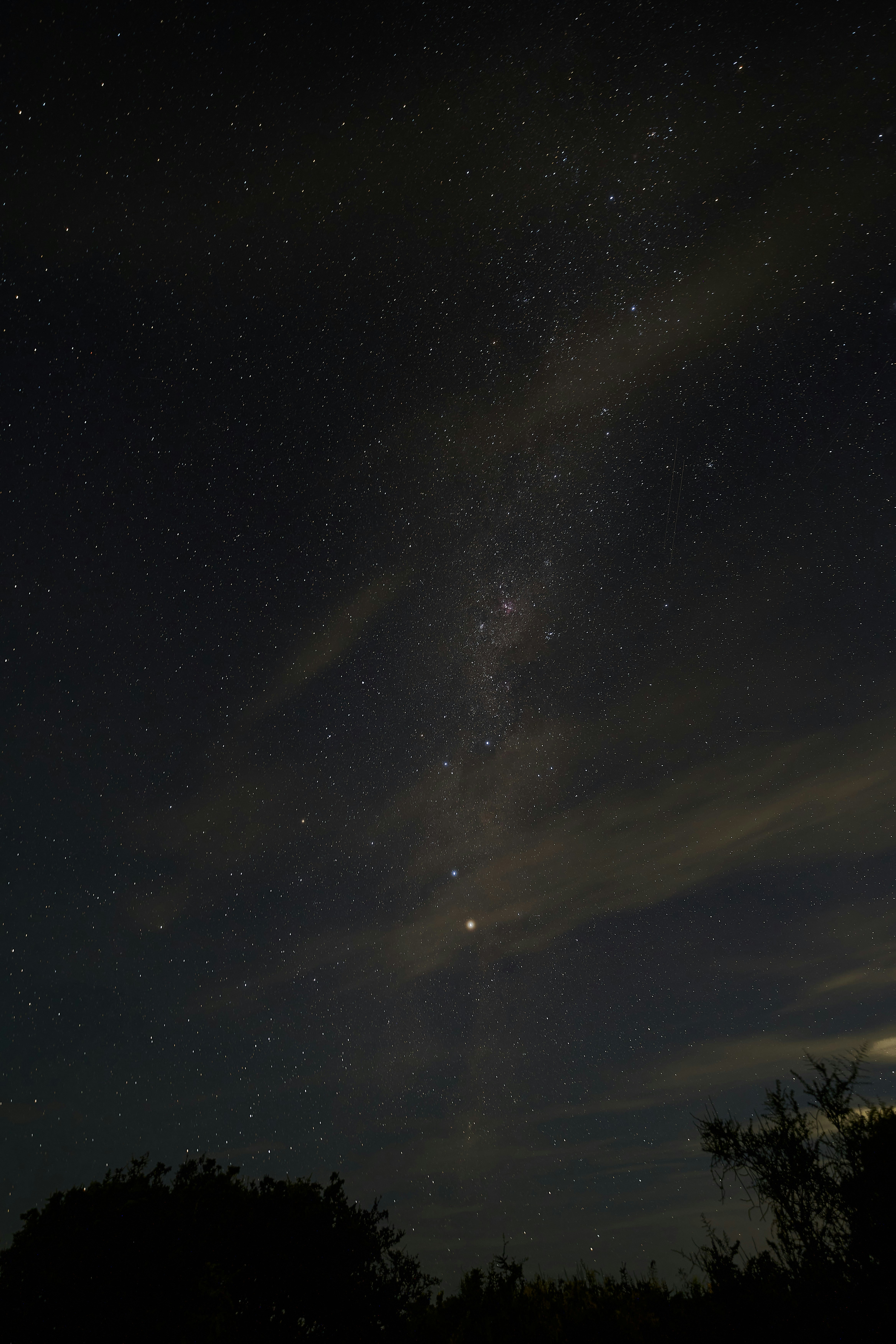 Photo by wolfgang_hasselmann