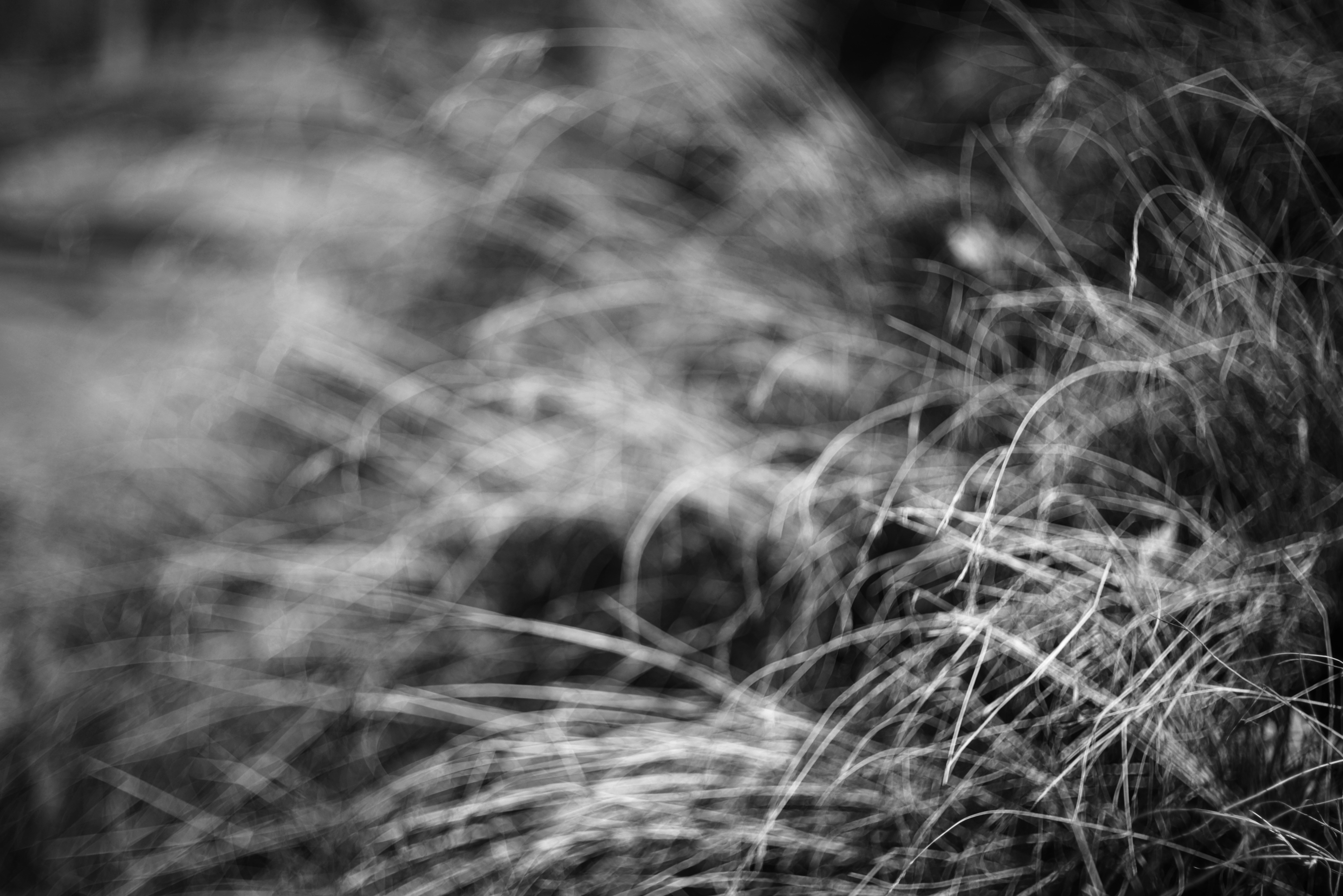 Photo by cherstve_pechivo