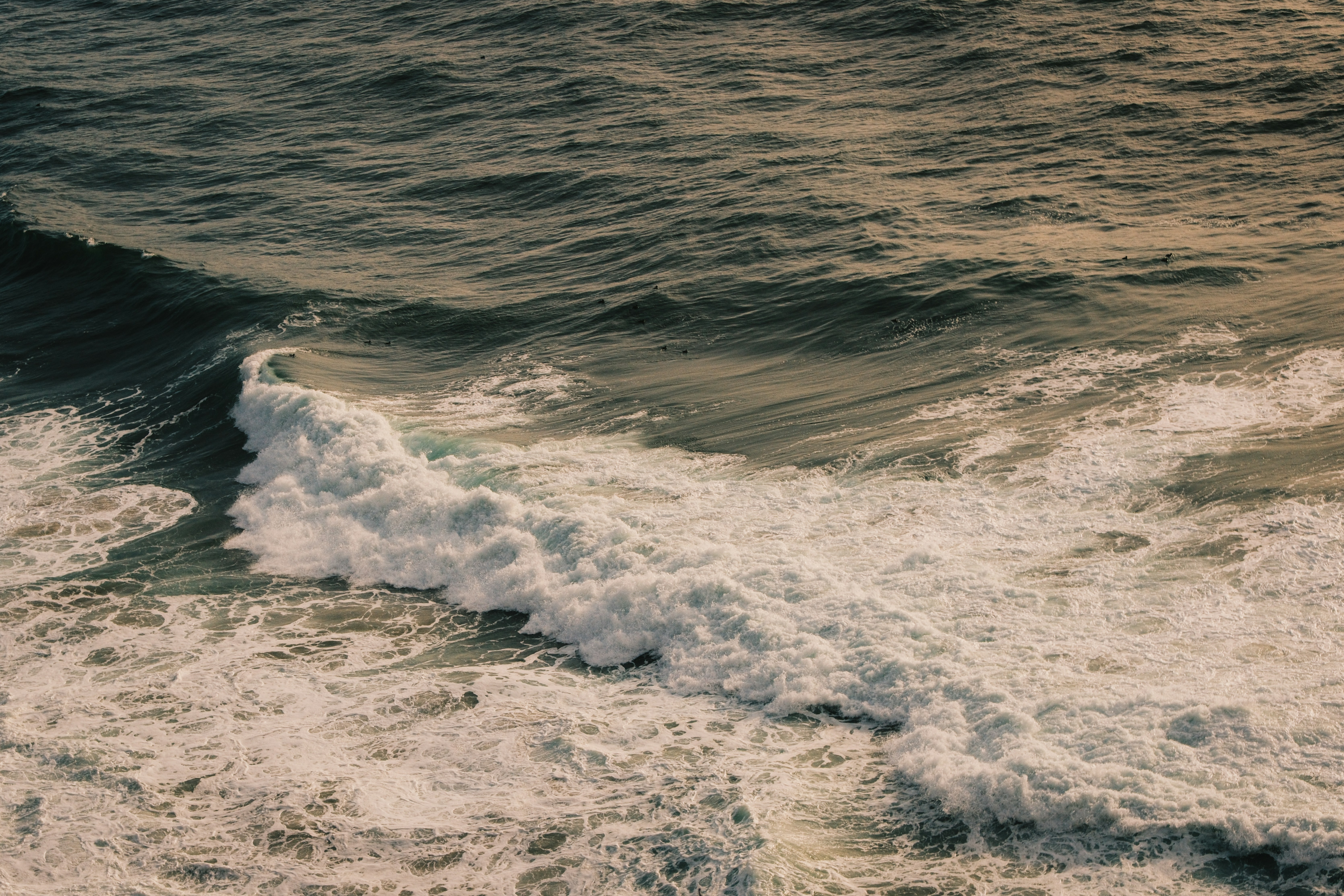 Photo by kalaniparker