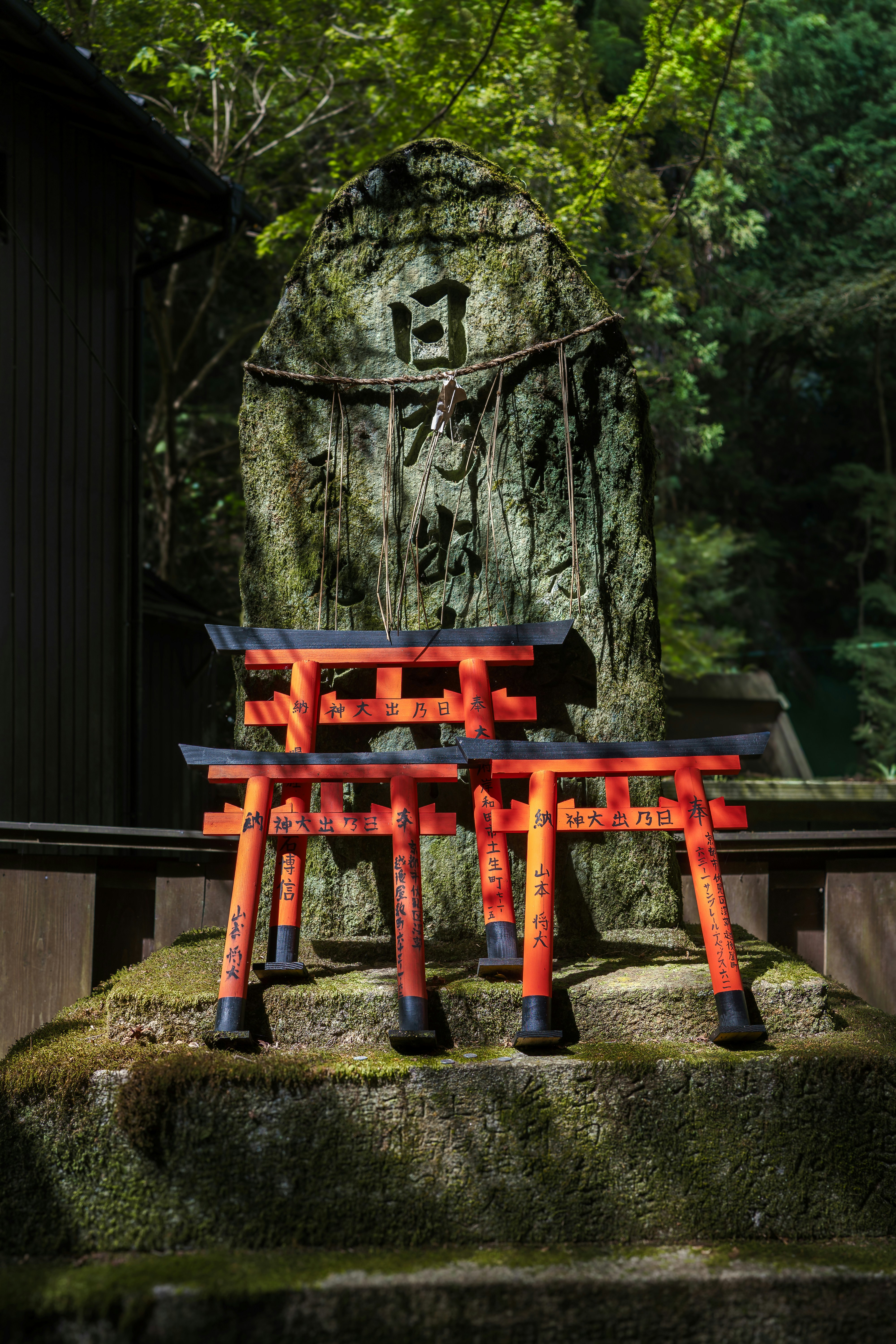 Hidden Japanese Temple in Forest