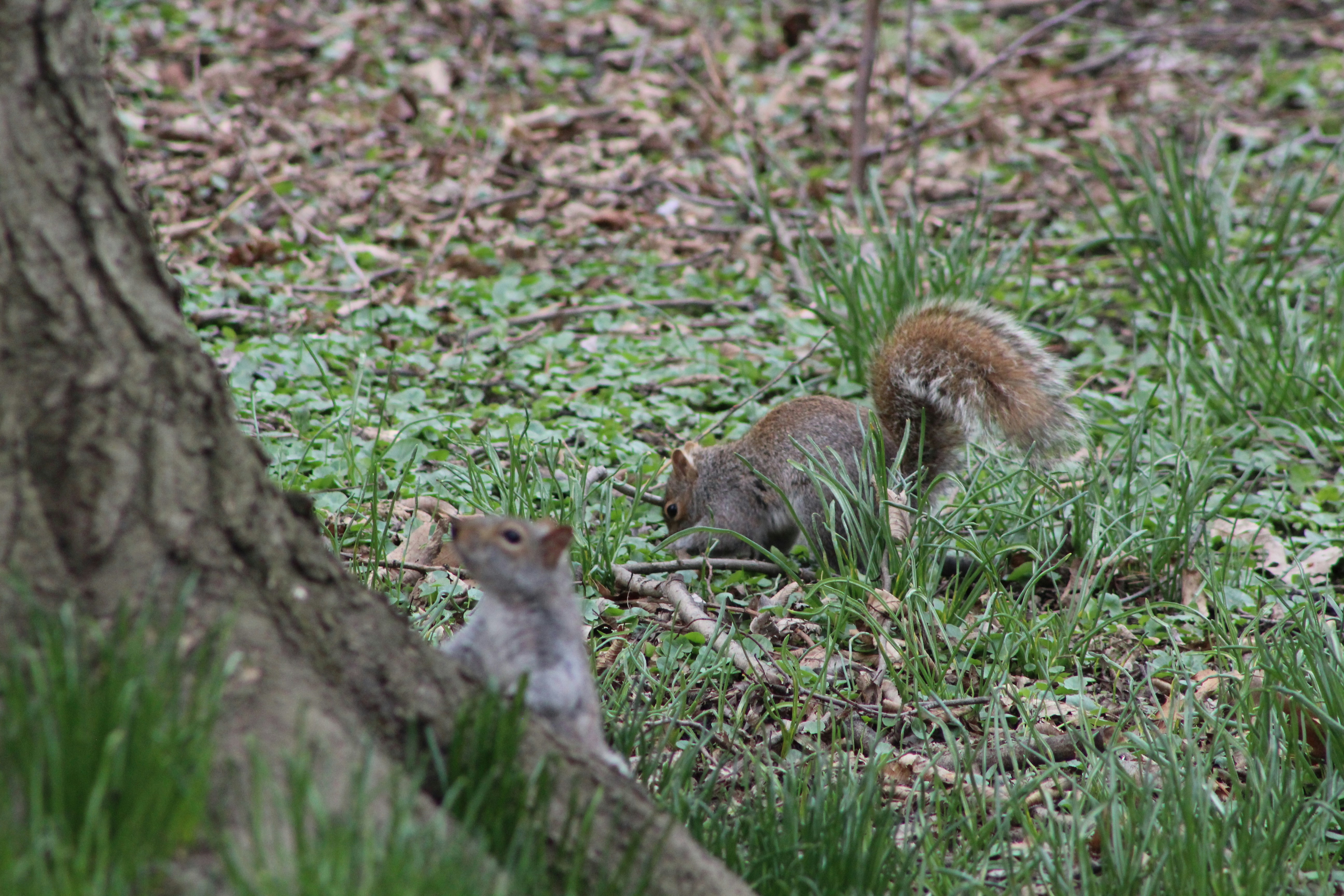 Photo by christopherclass