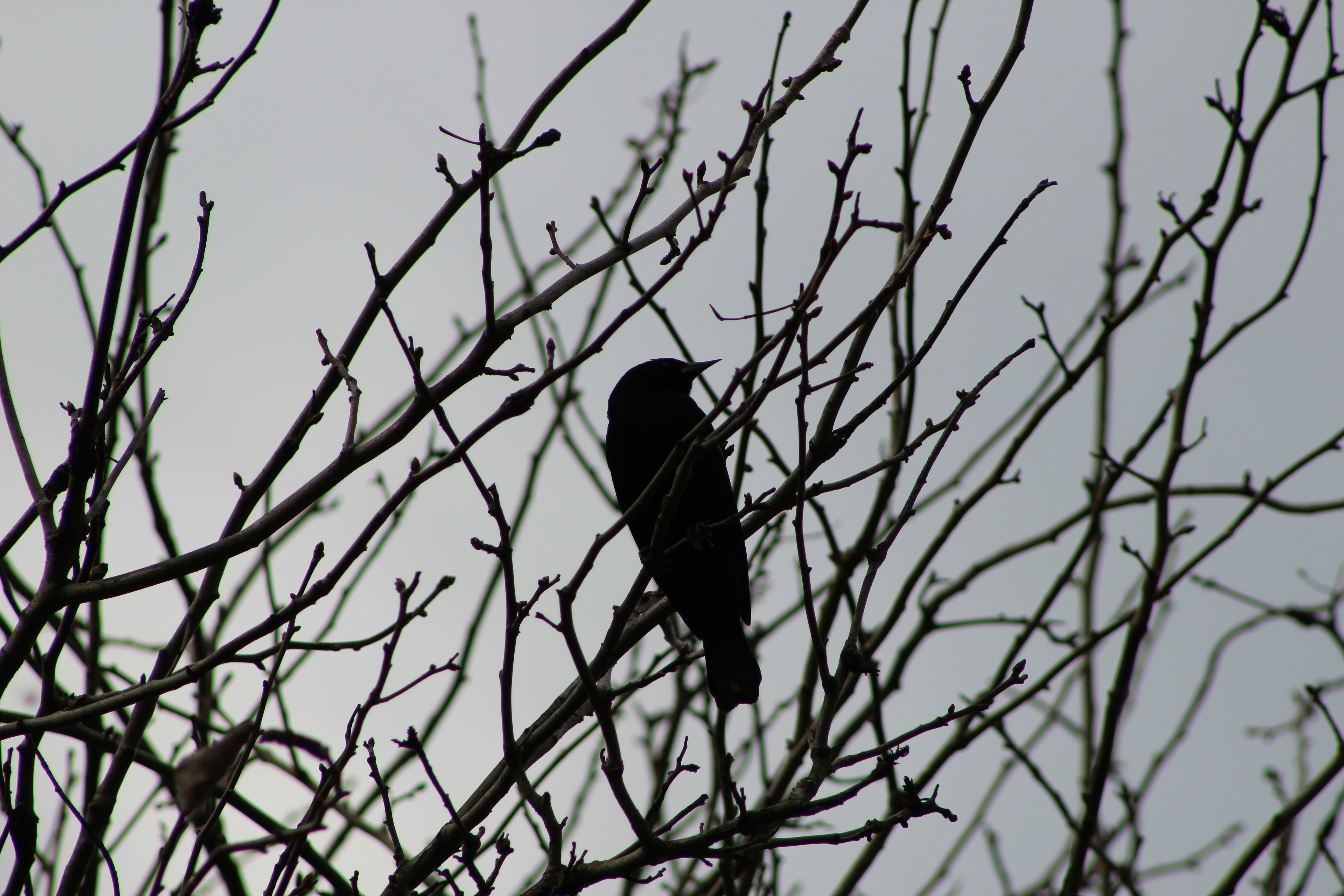 Photo by christopherclass