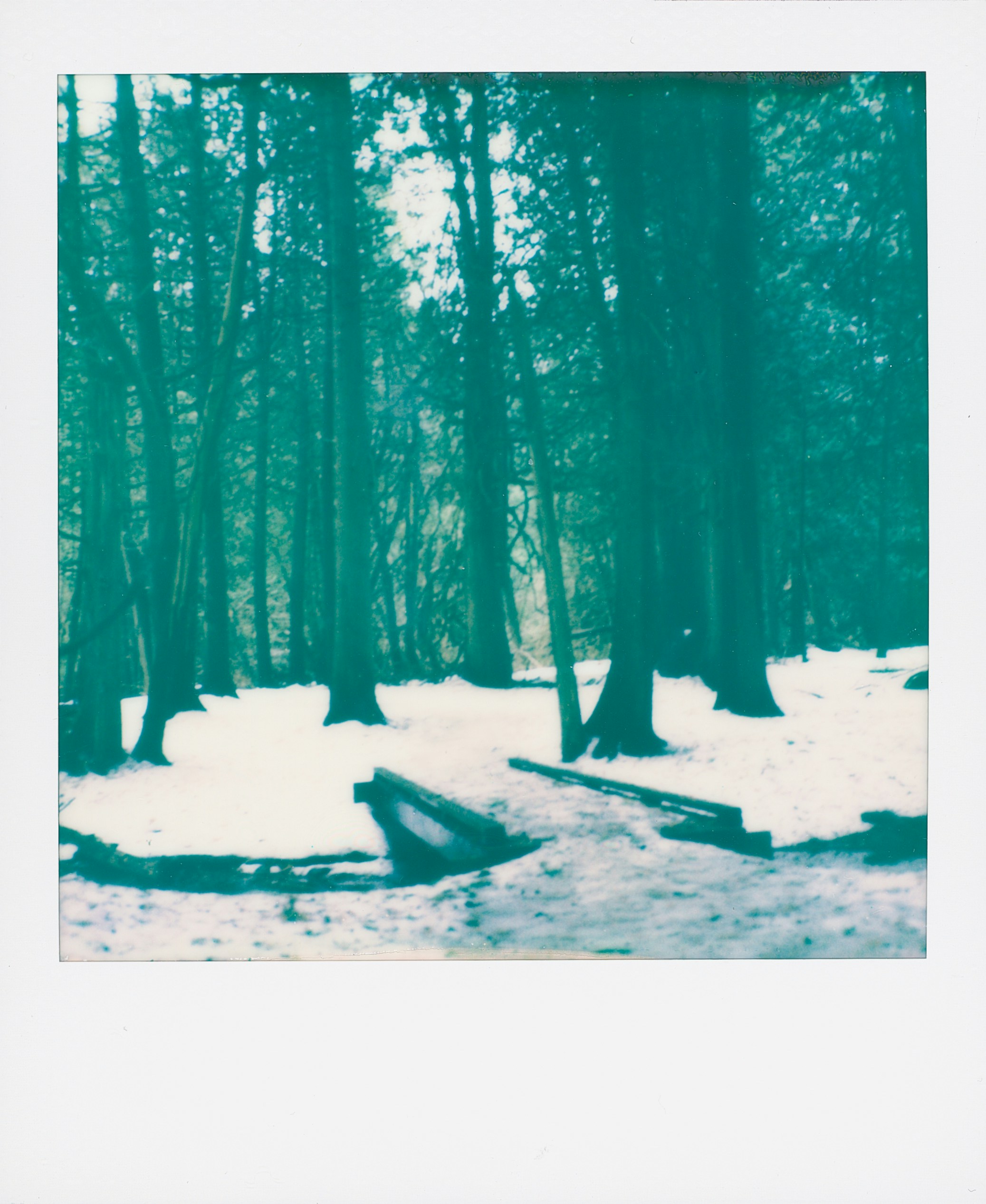 Photo by cocccul