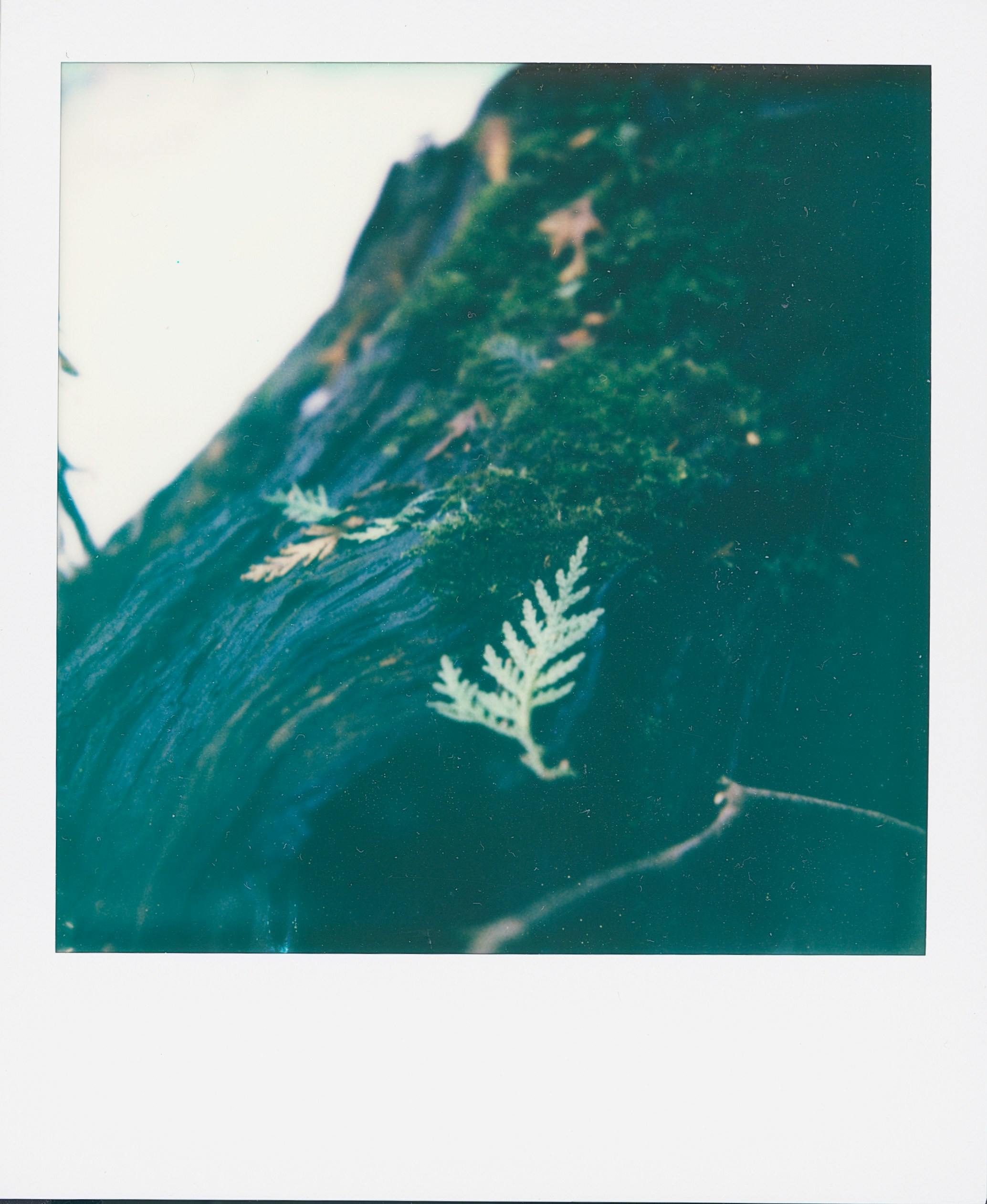 Photo by cocccul