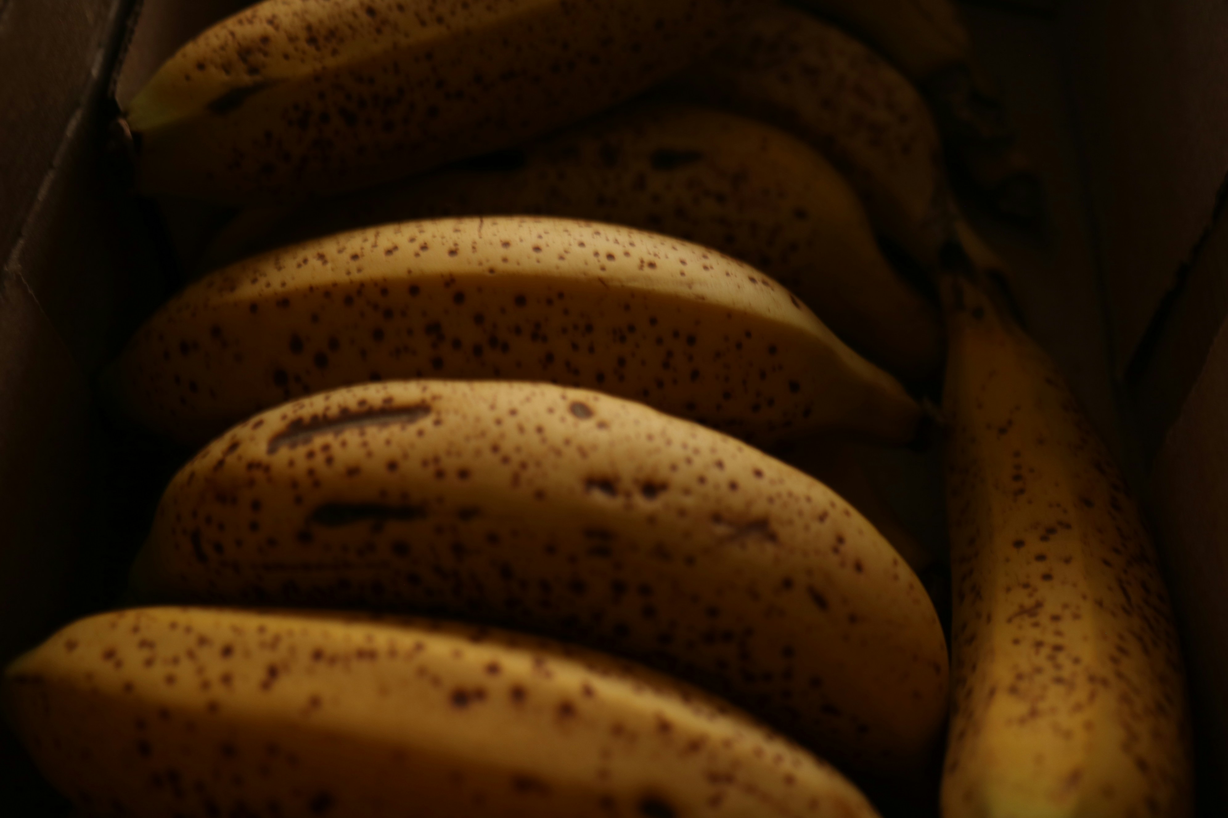 Several ripe bananas with brown spots in a box