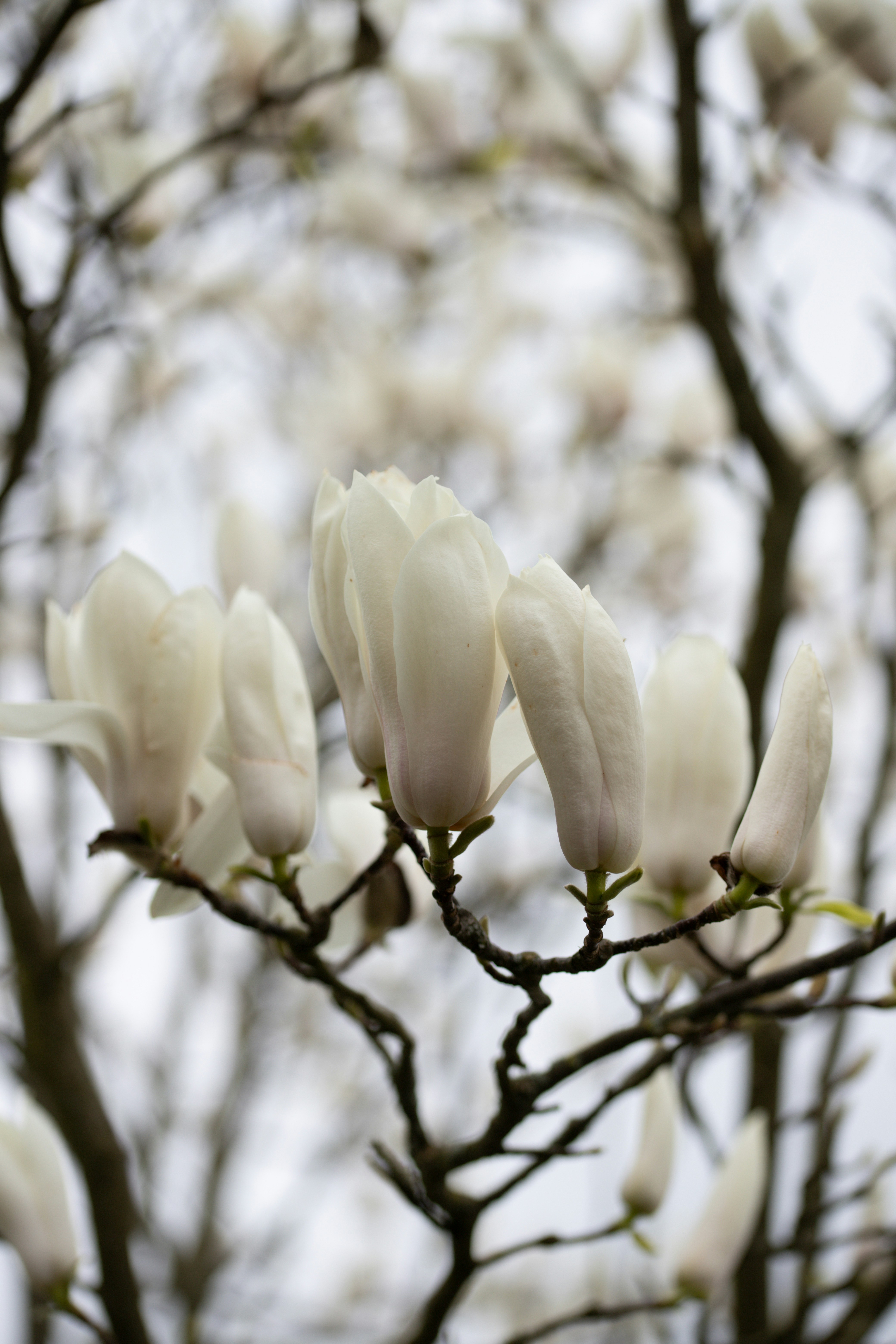 Photo by hdbernd