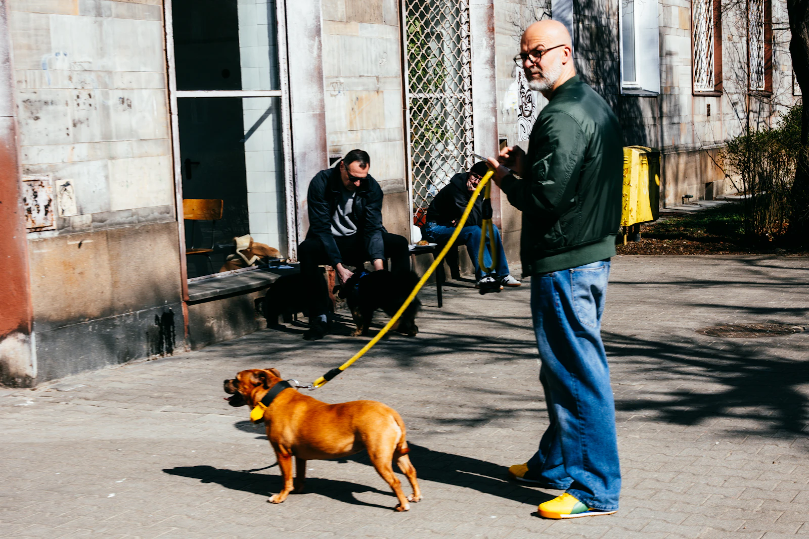 Hombre paseando a su perro marrón con correa por la ciudad