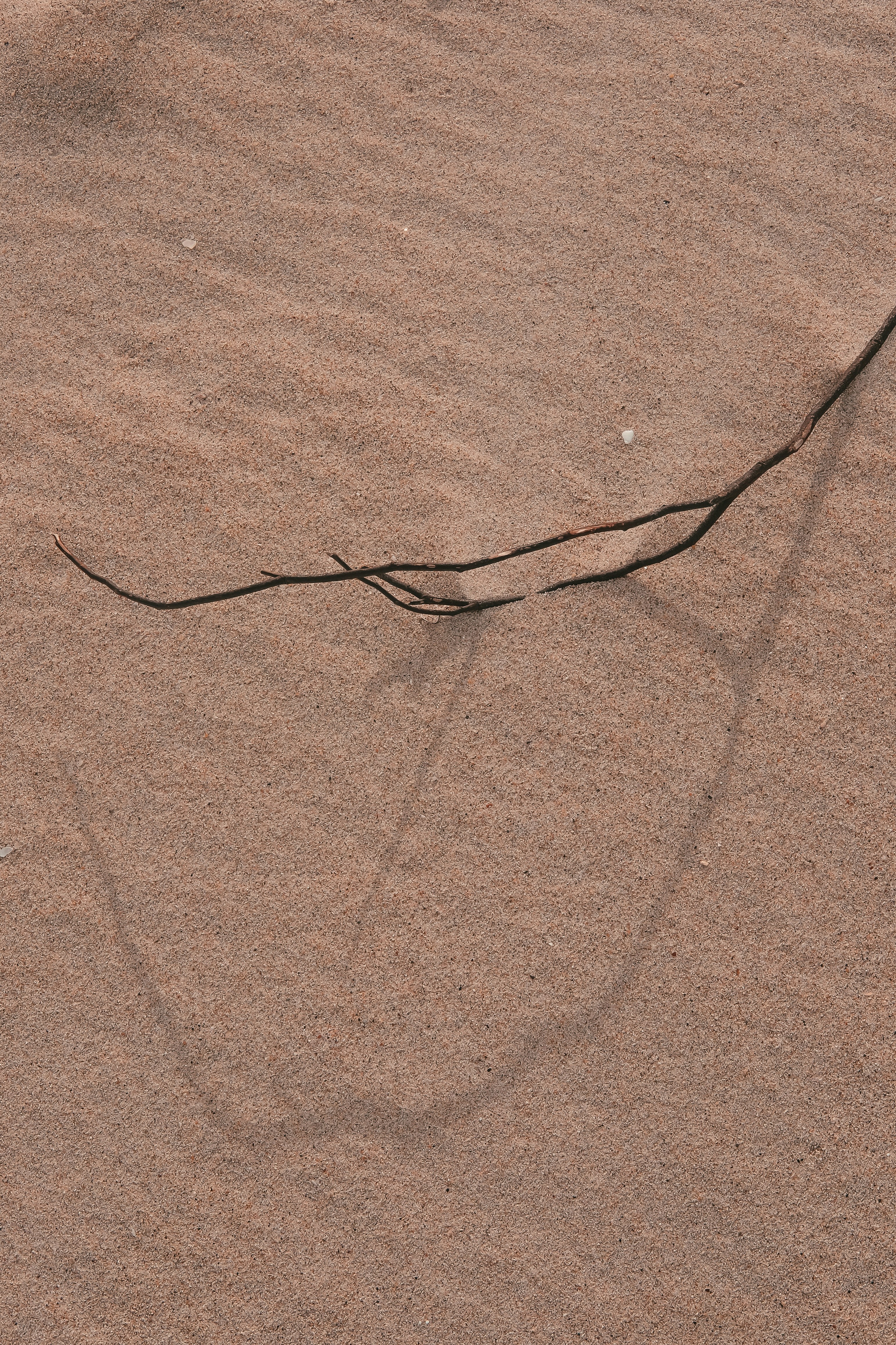 Um galho fino projeta uma sombra sobre o chão arenoso.