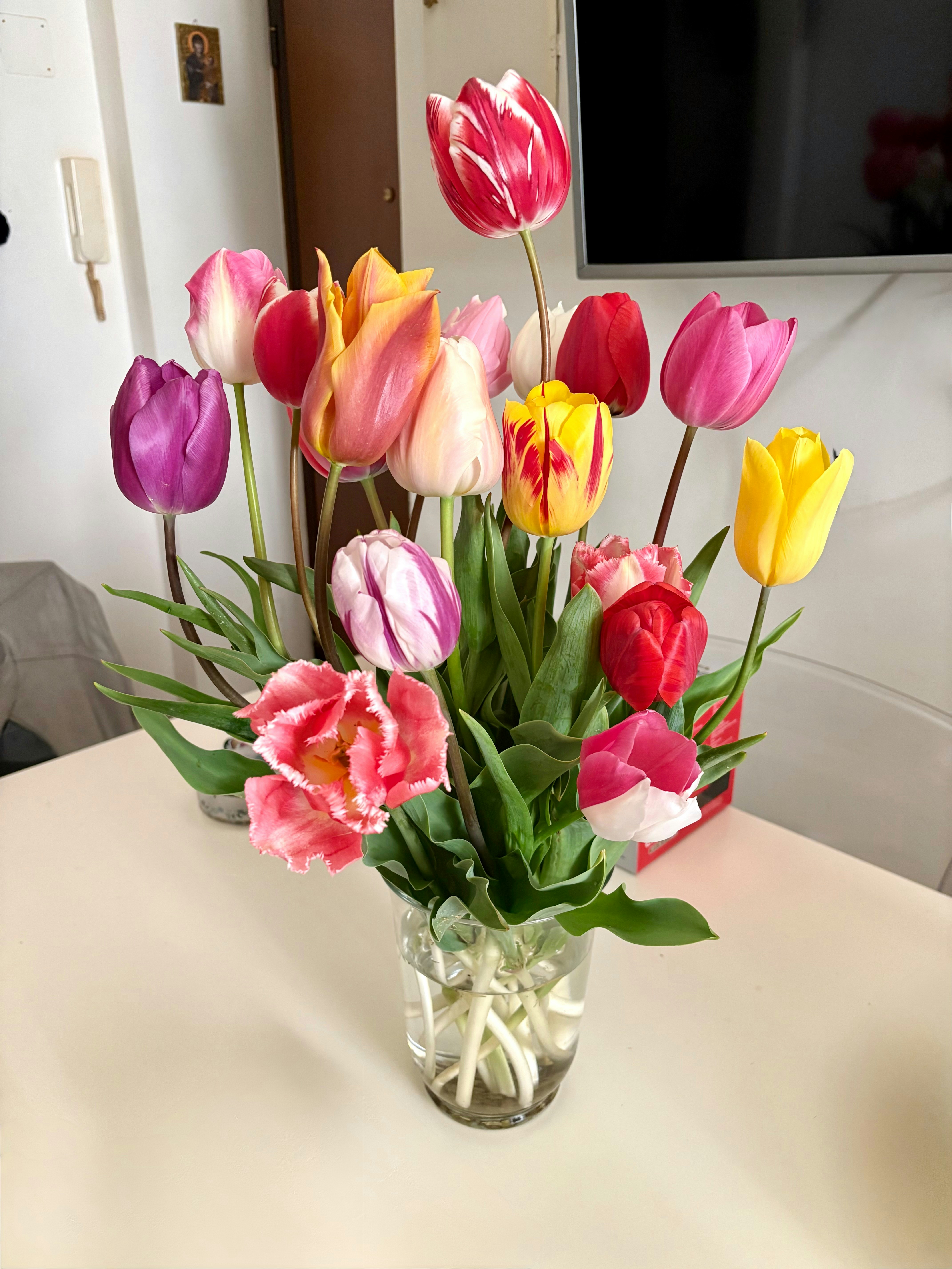 Tulipas
