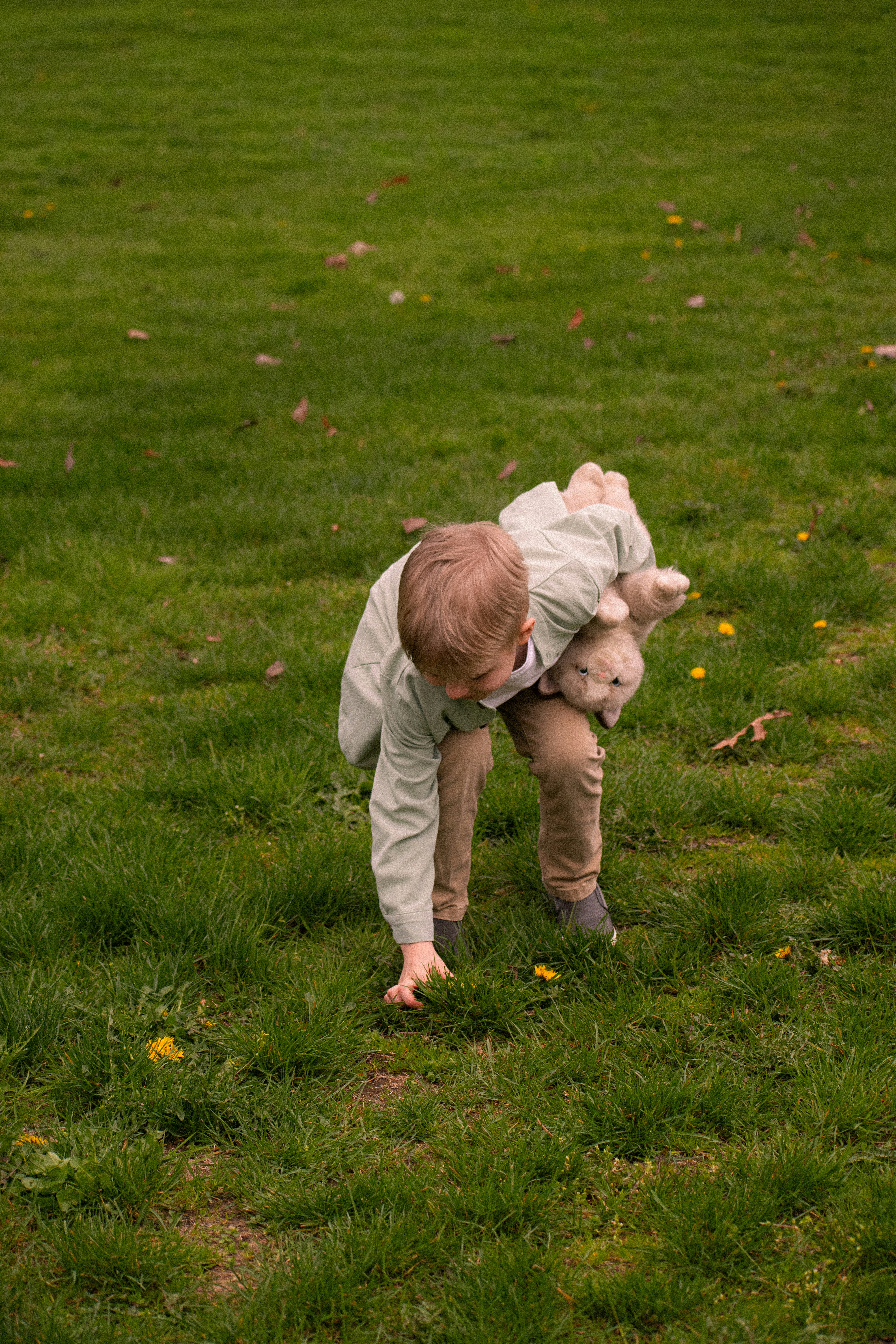 Photo by pictures102