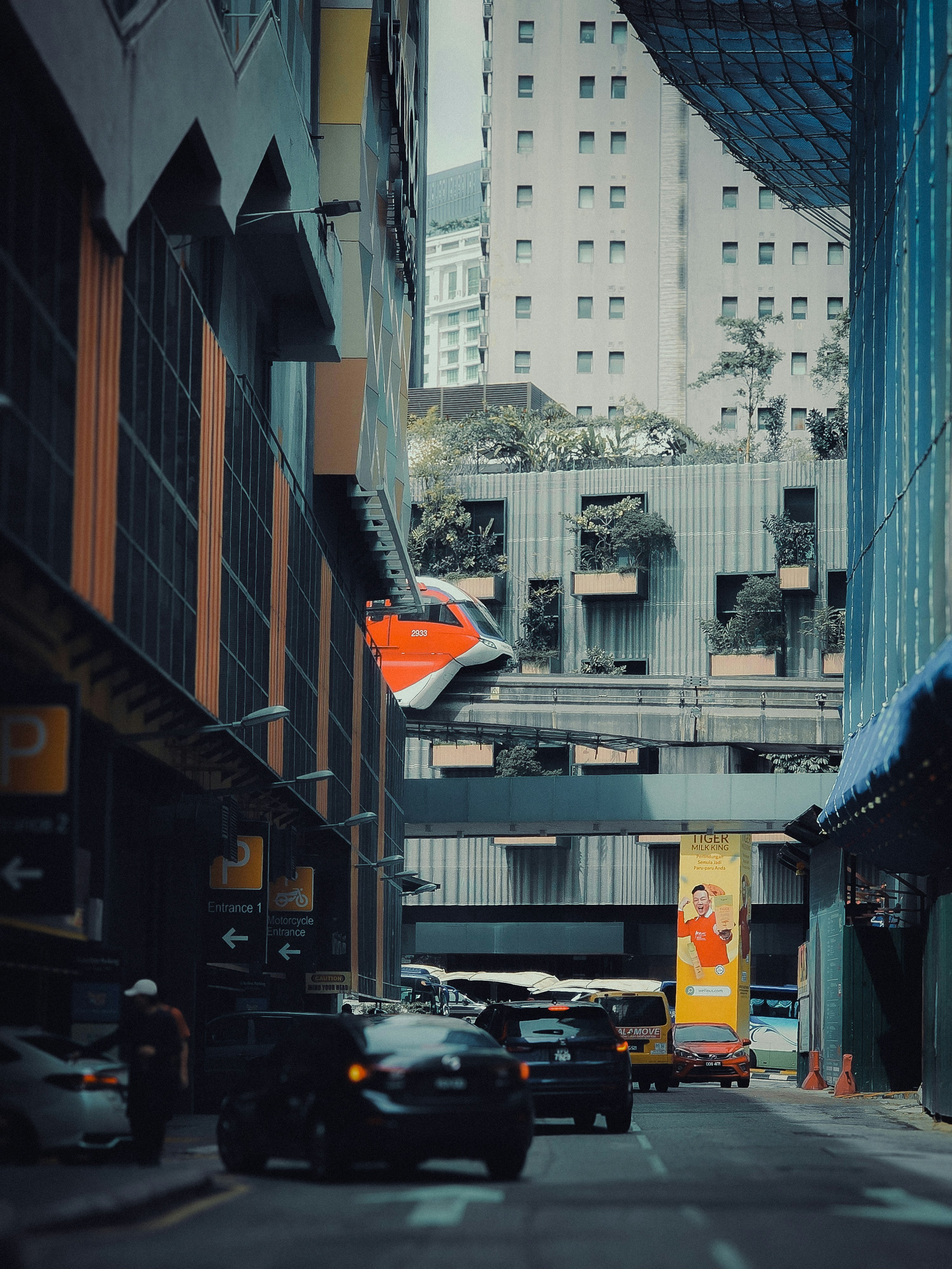 Photo by kcshum