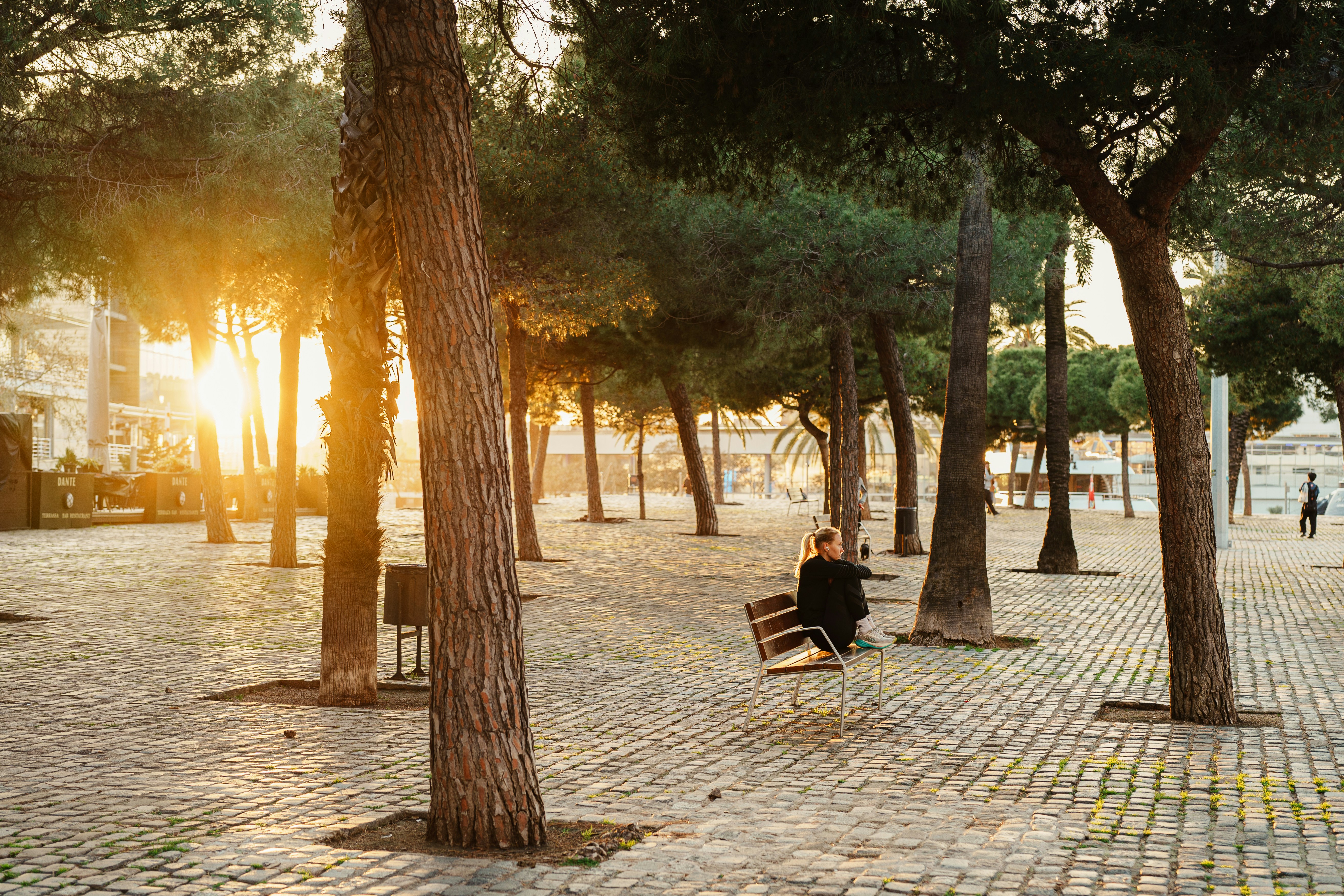 Person sitting on a bench in a park at sunset.