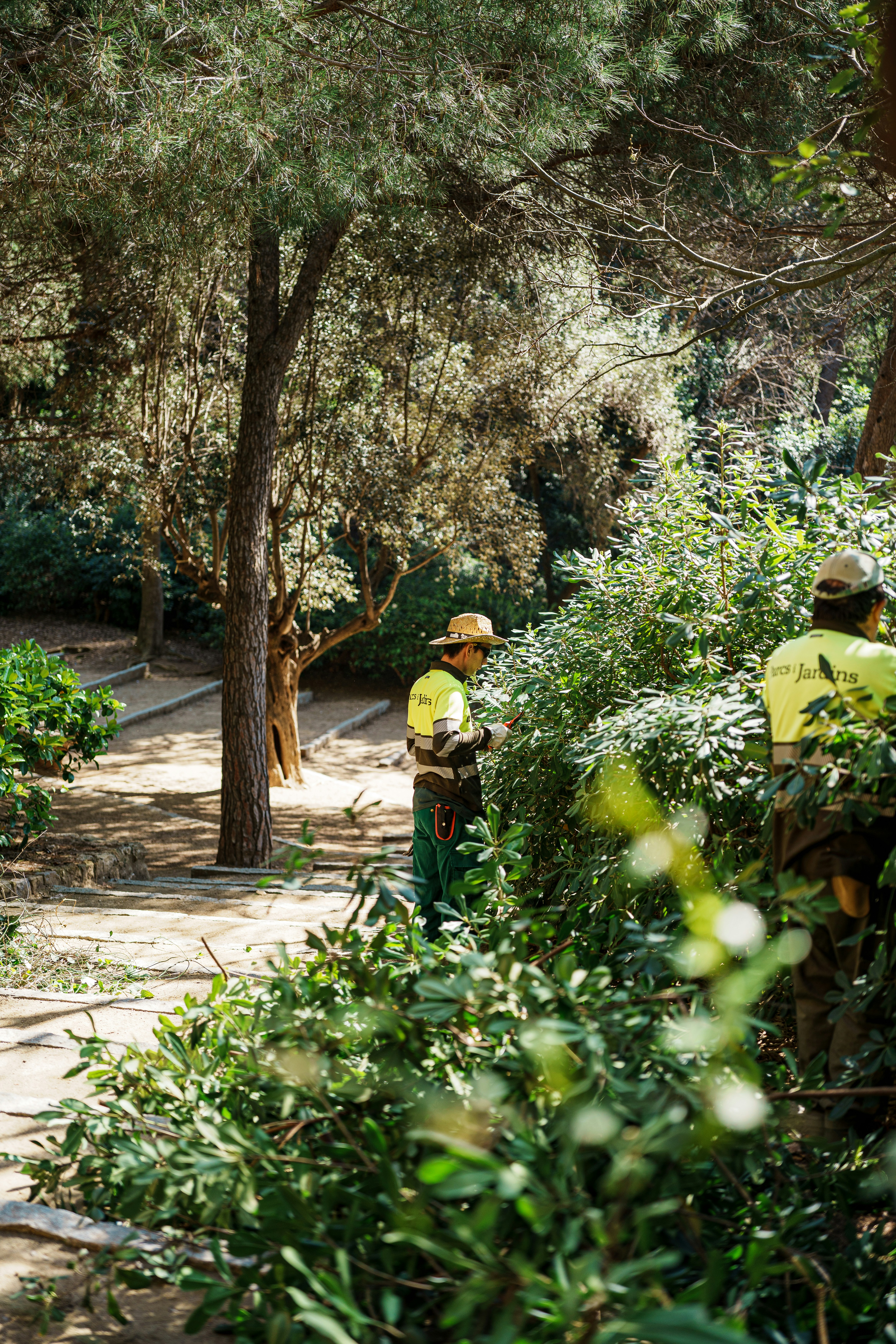 Placeholder image for PRODUCT