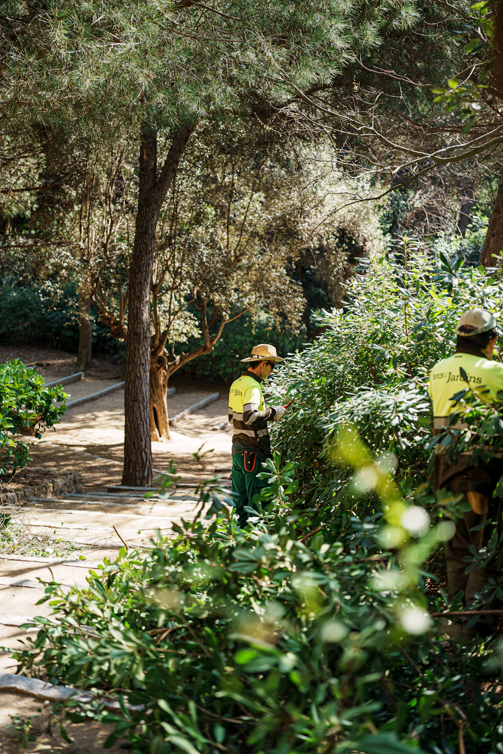 Jardineros manteniendo áreas verdes de un parque corporativo