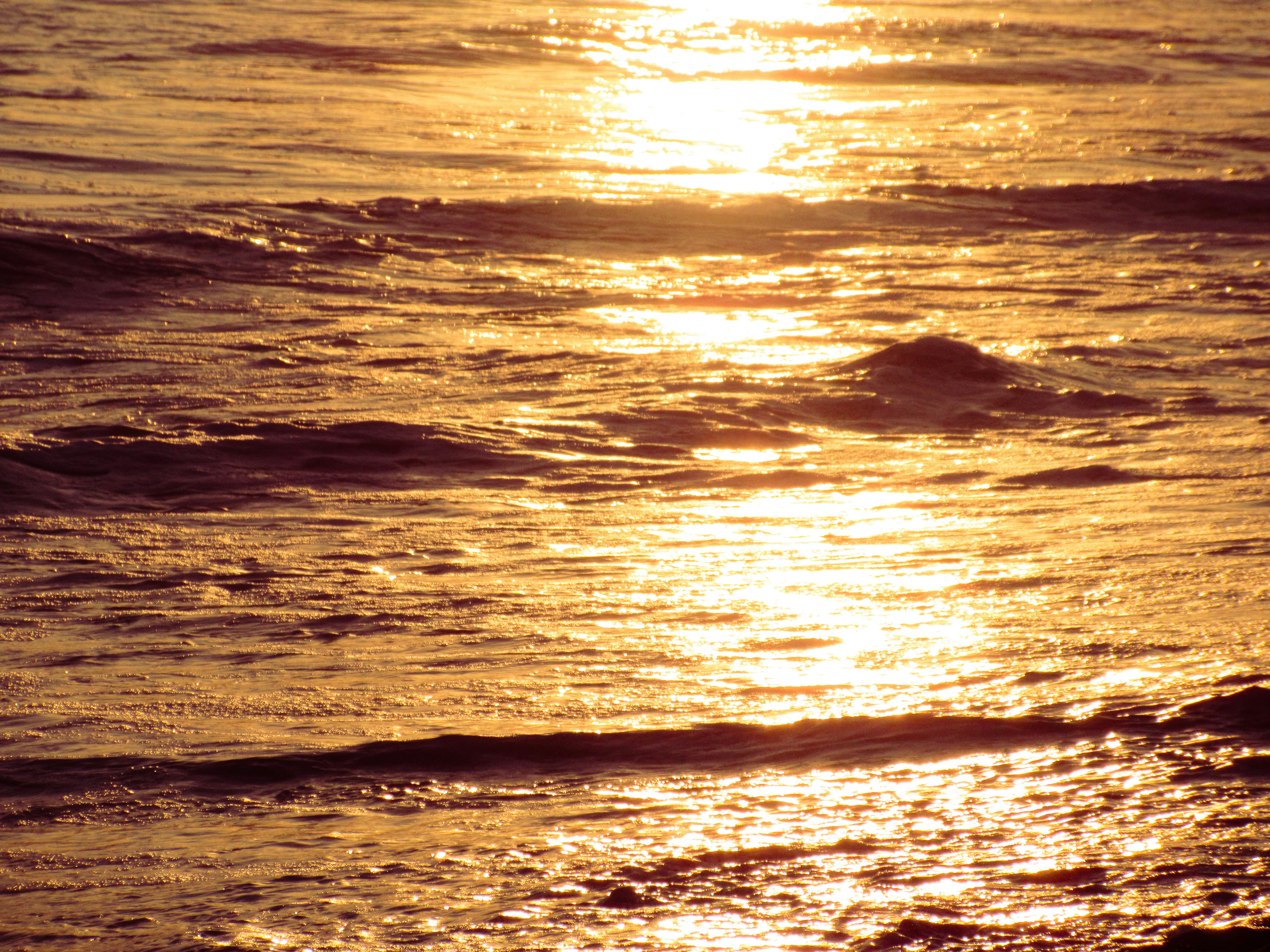 Photo by isabellagong