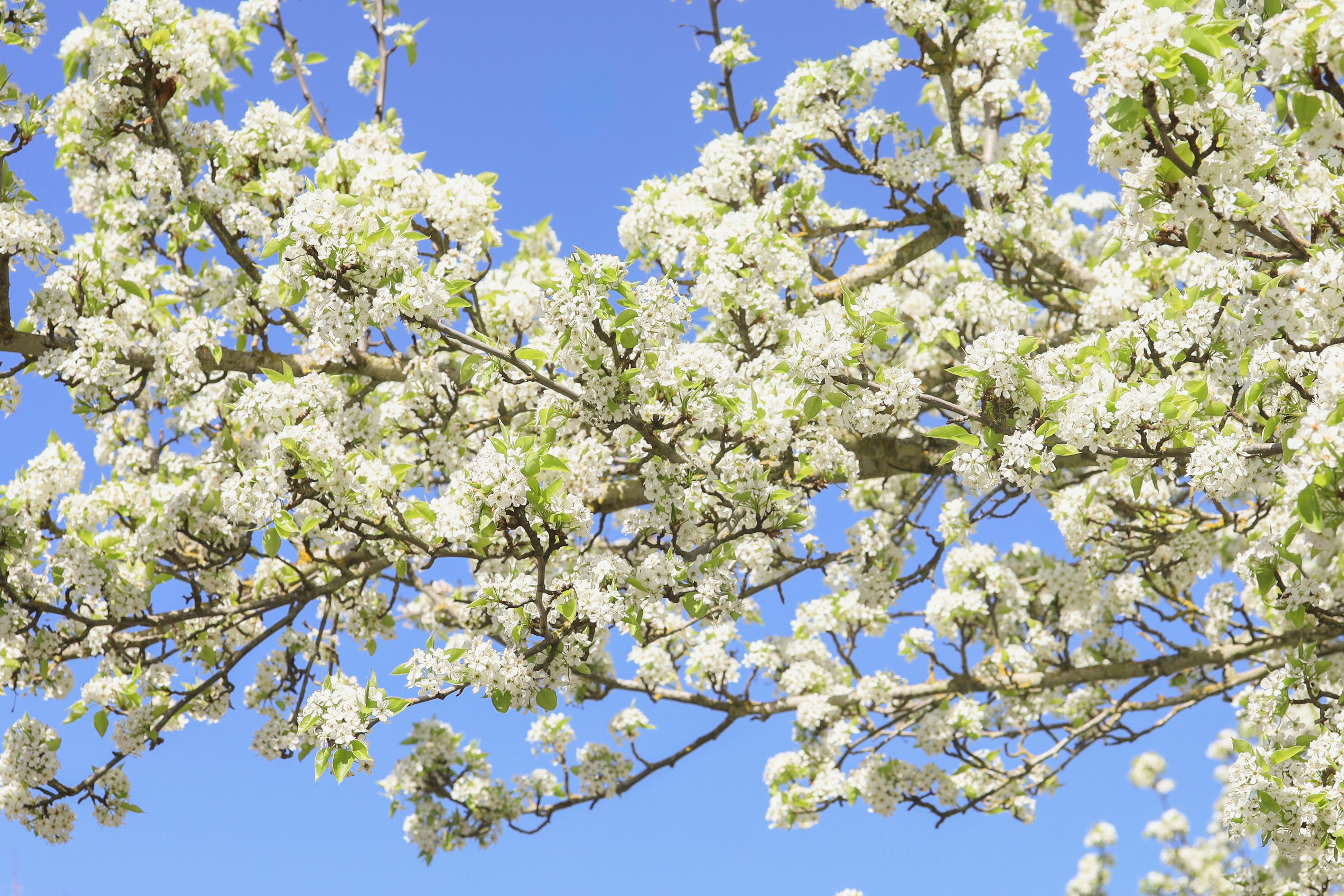 Photo by matthew_paripa1