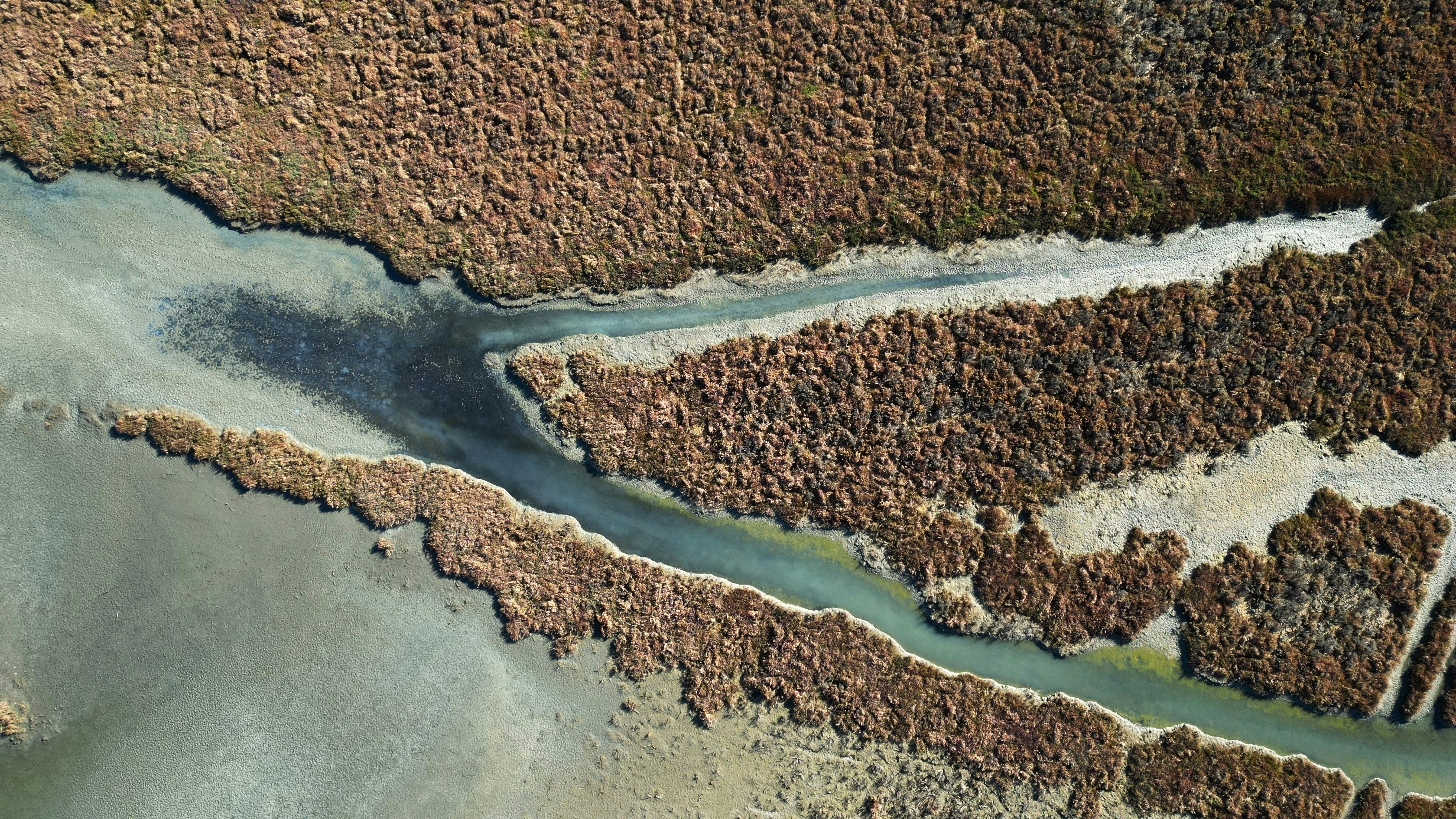 Photo by photoken123