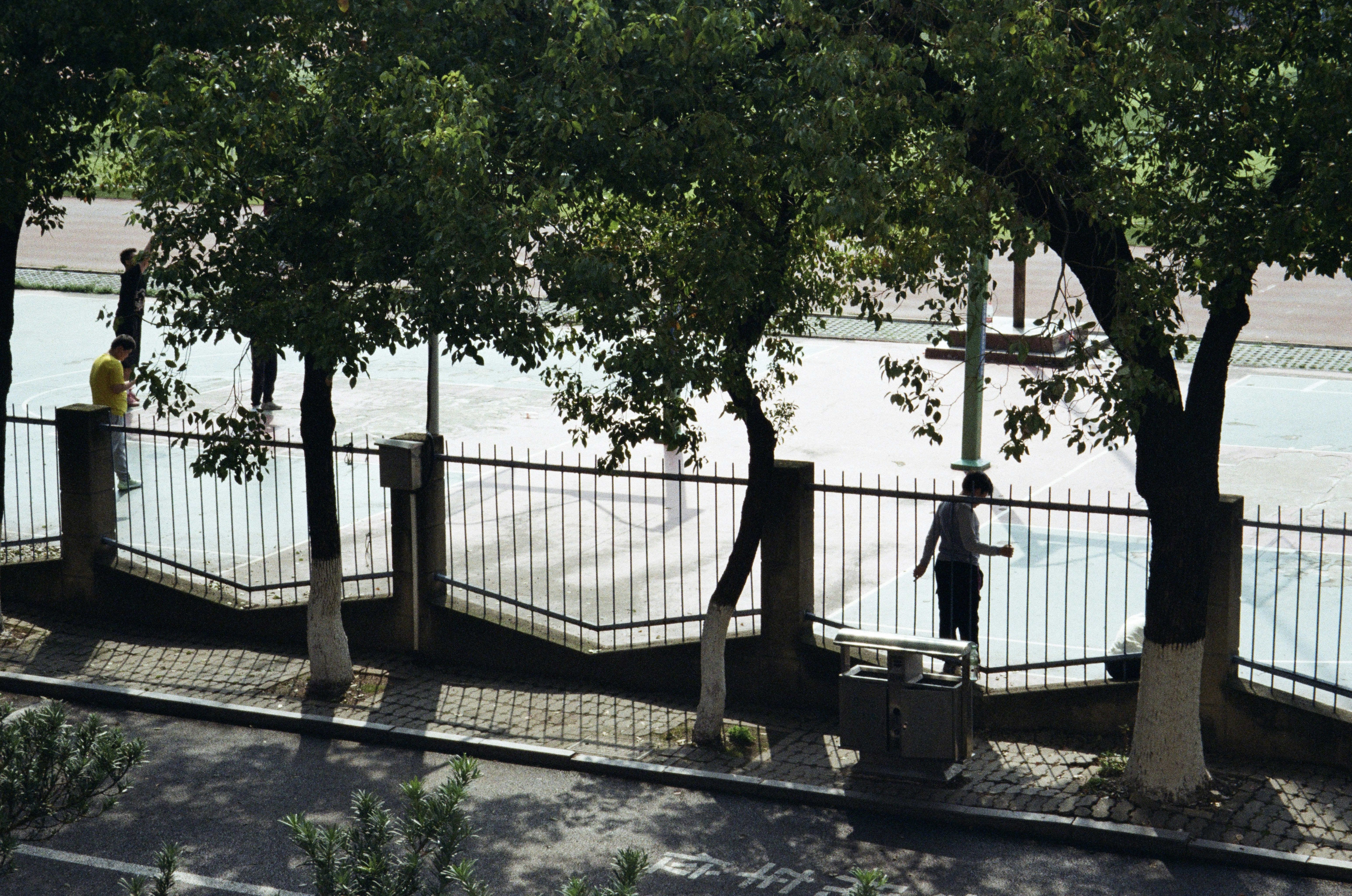 A person walks along a tree-lined path behind a fence.