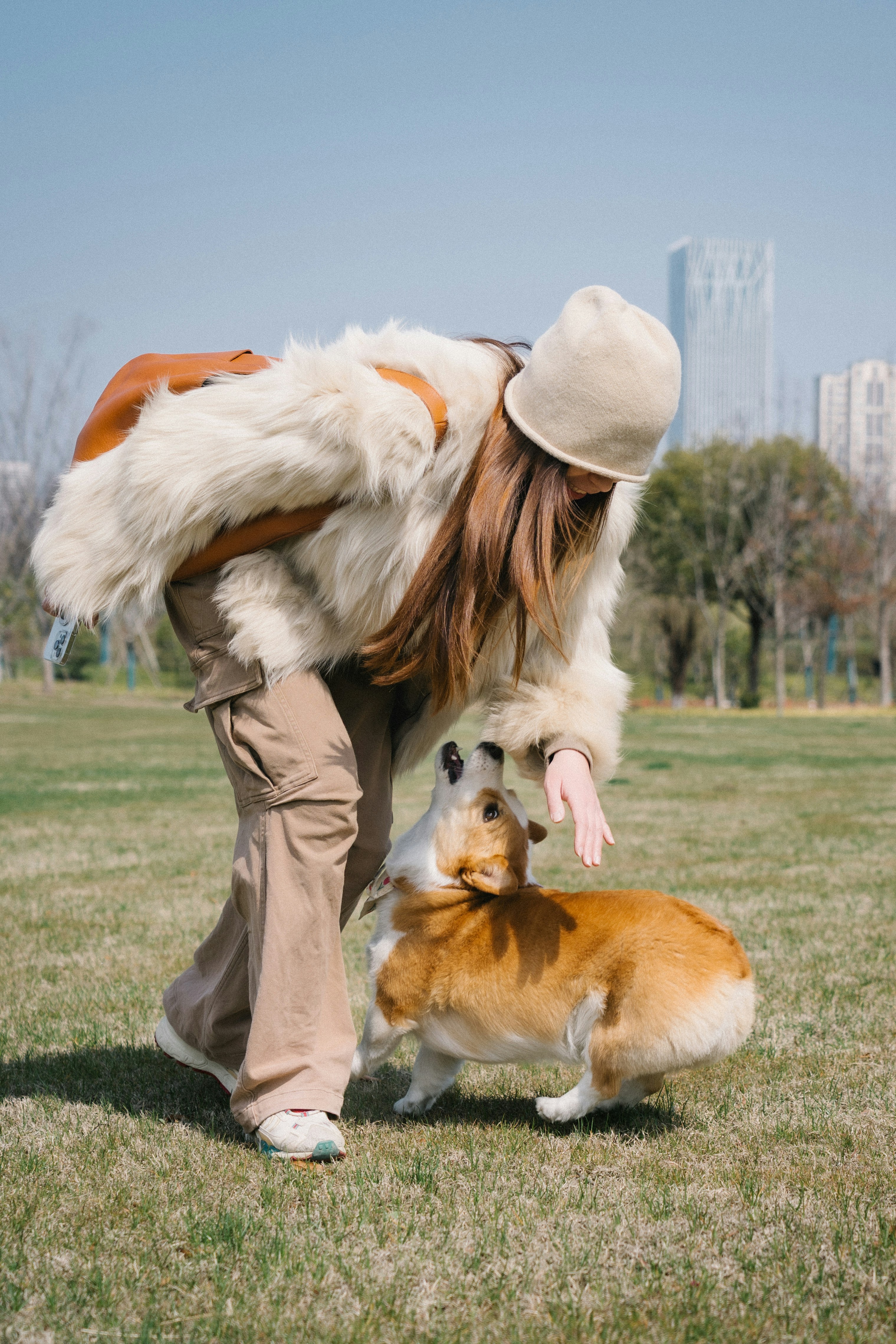 Woman playing with a corgi dog in a park