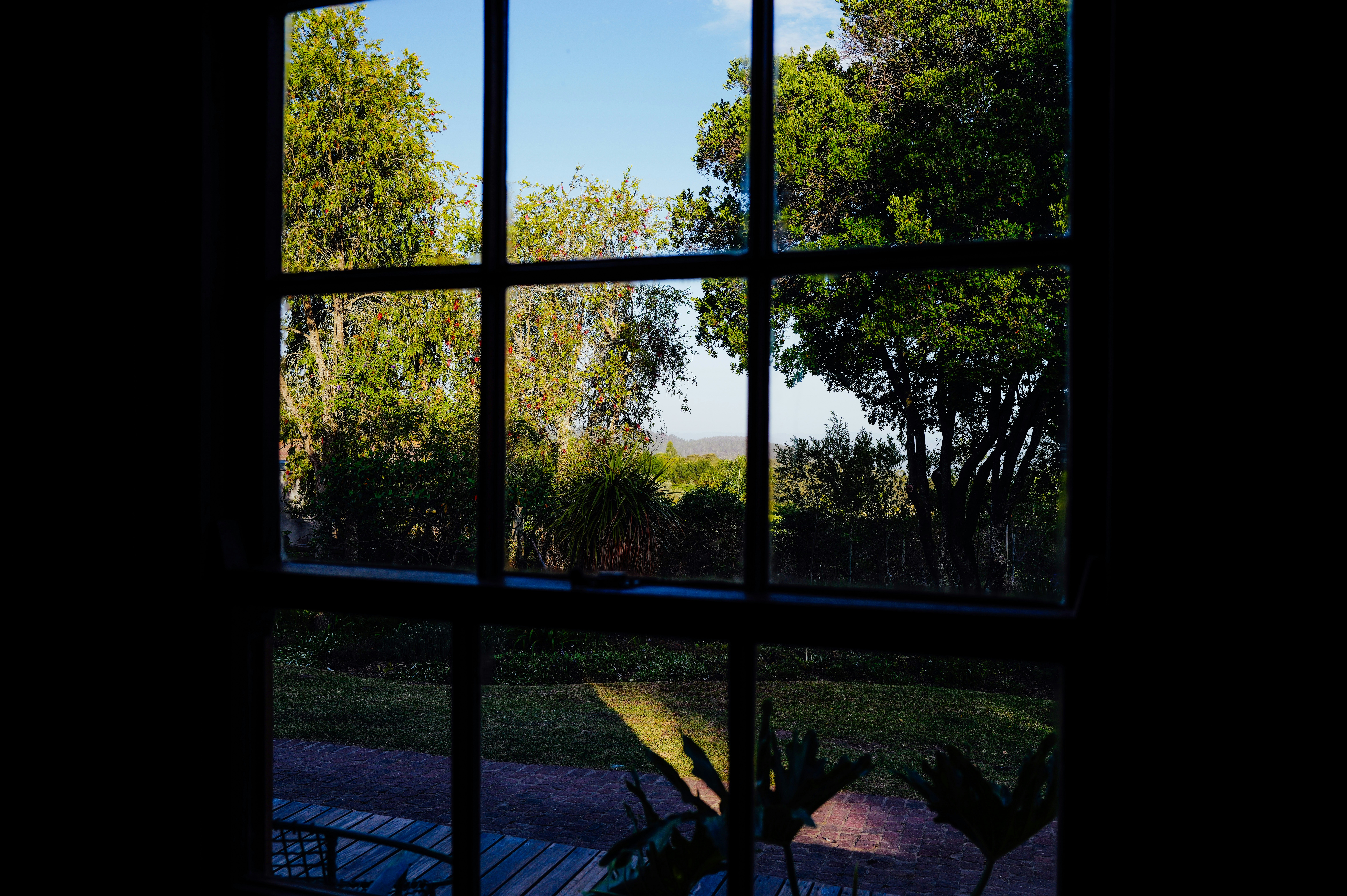 Photo by adrienolichon