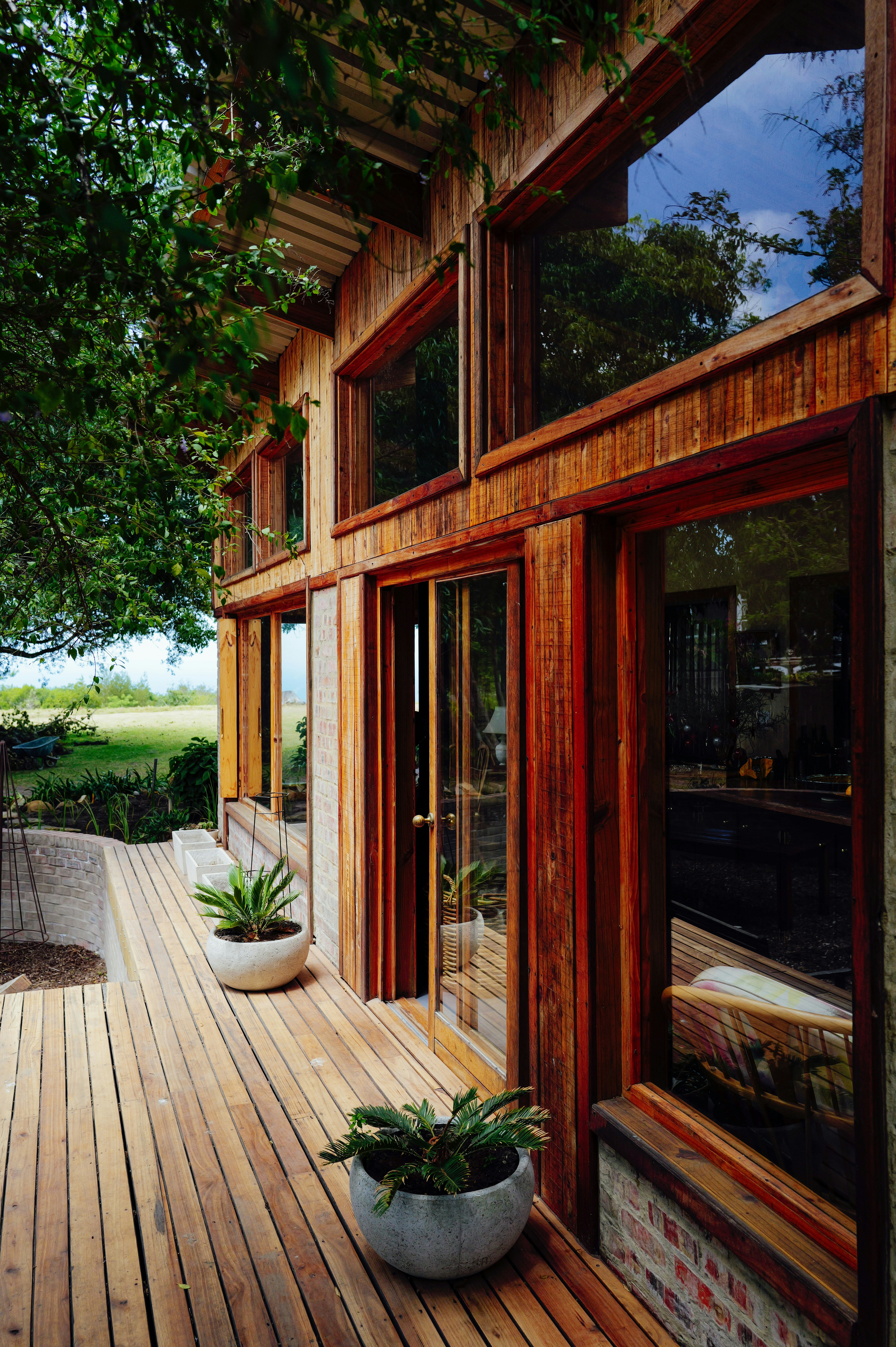 eco-friendly windows