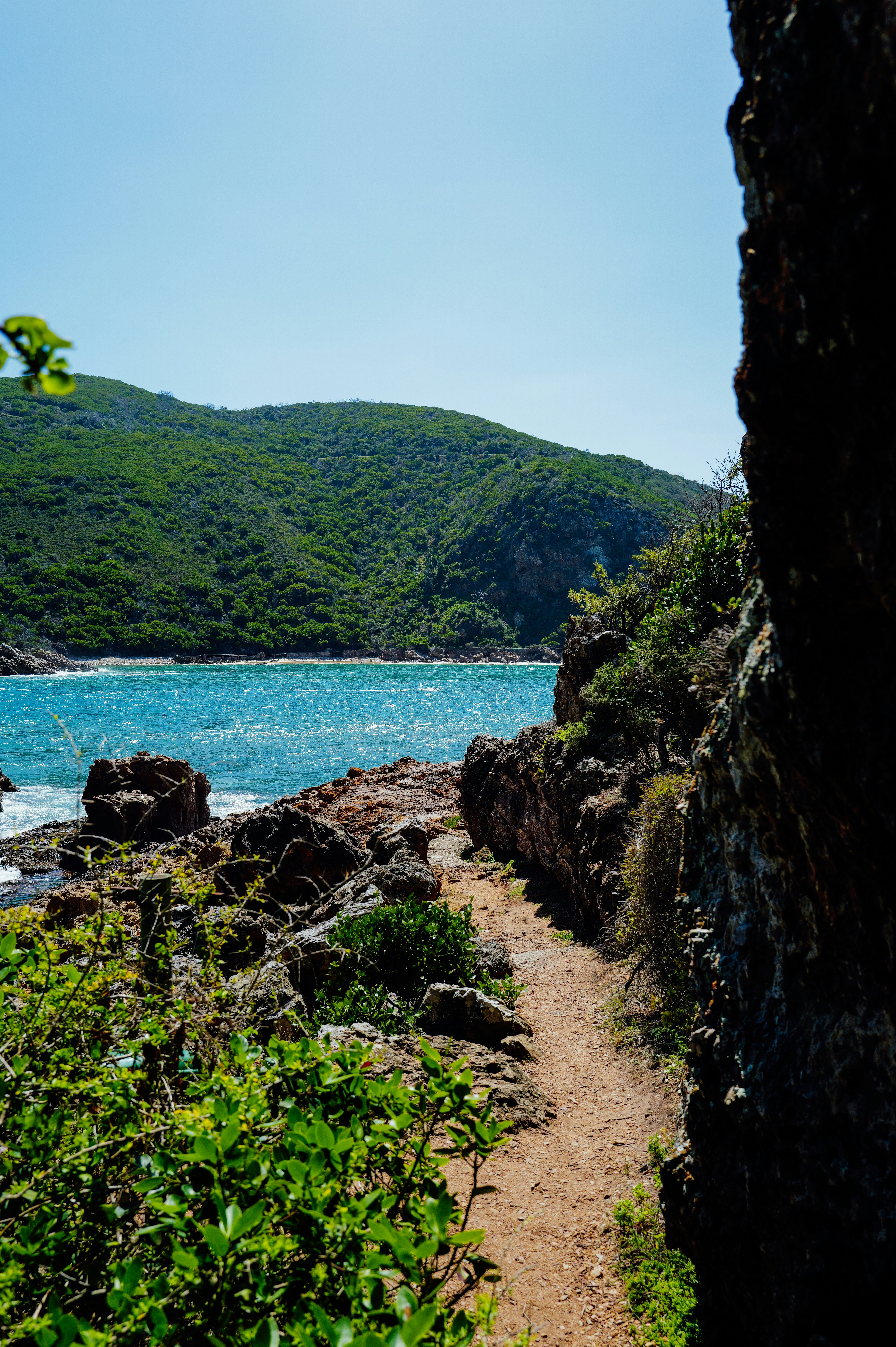 Photo by adrienolichon