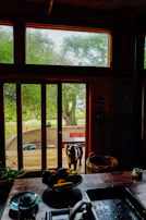 A dog stands at an open doorway looking inside