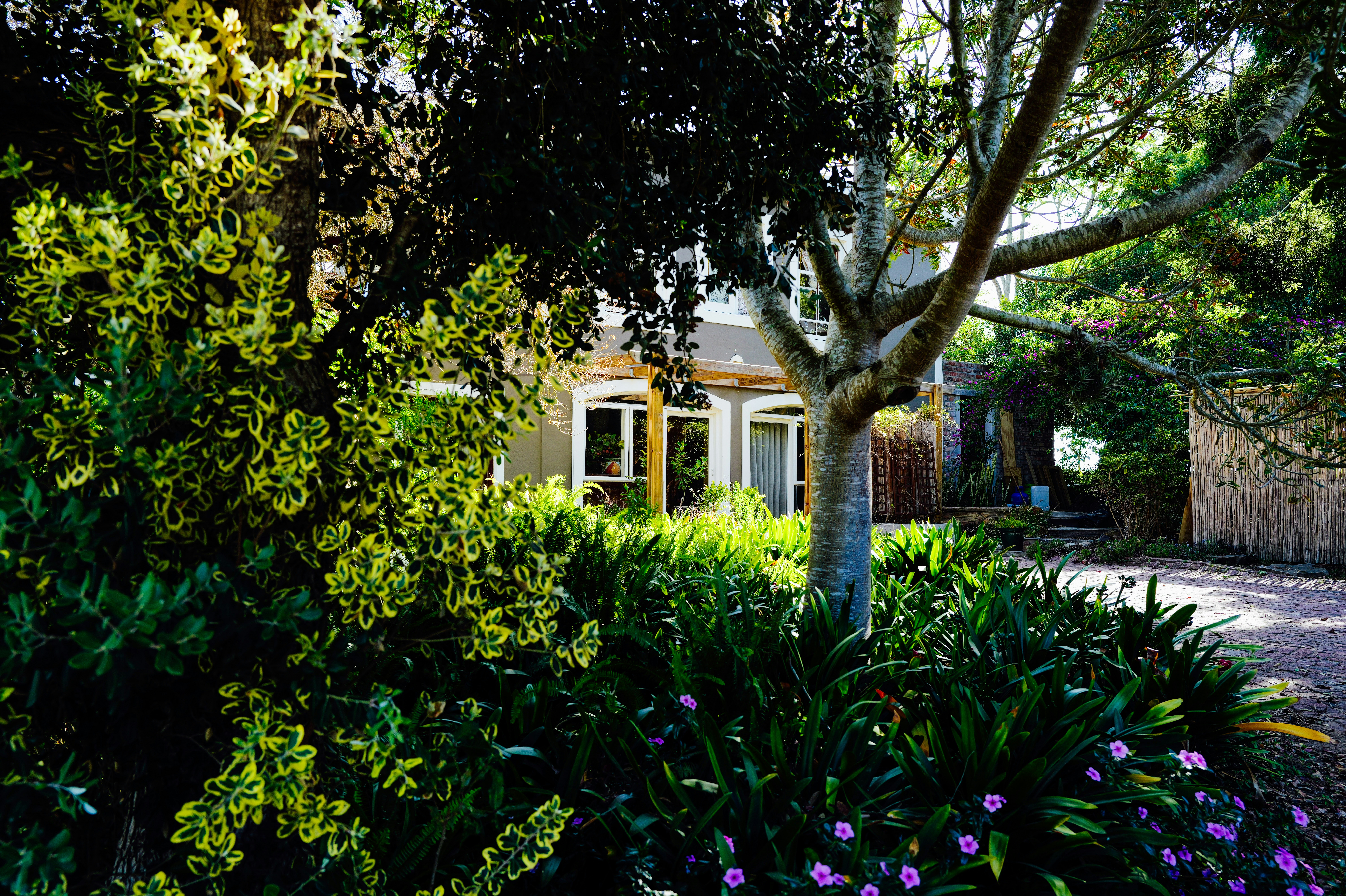 landscaping rental property