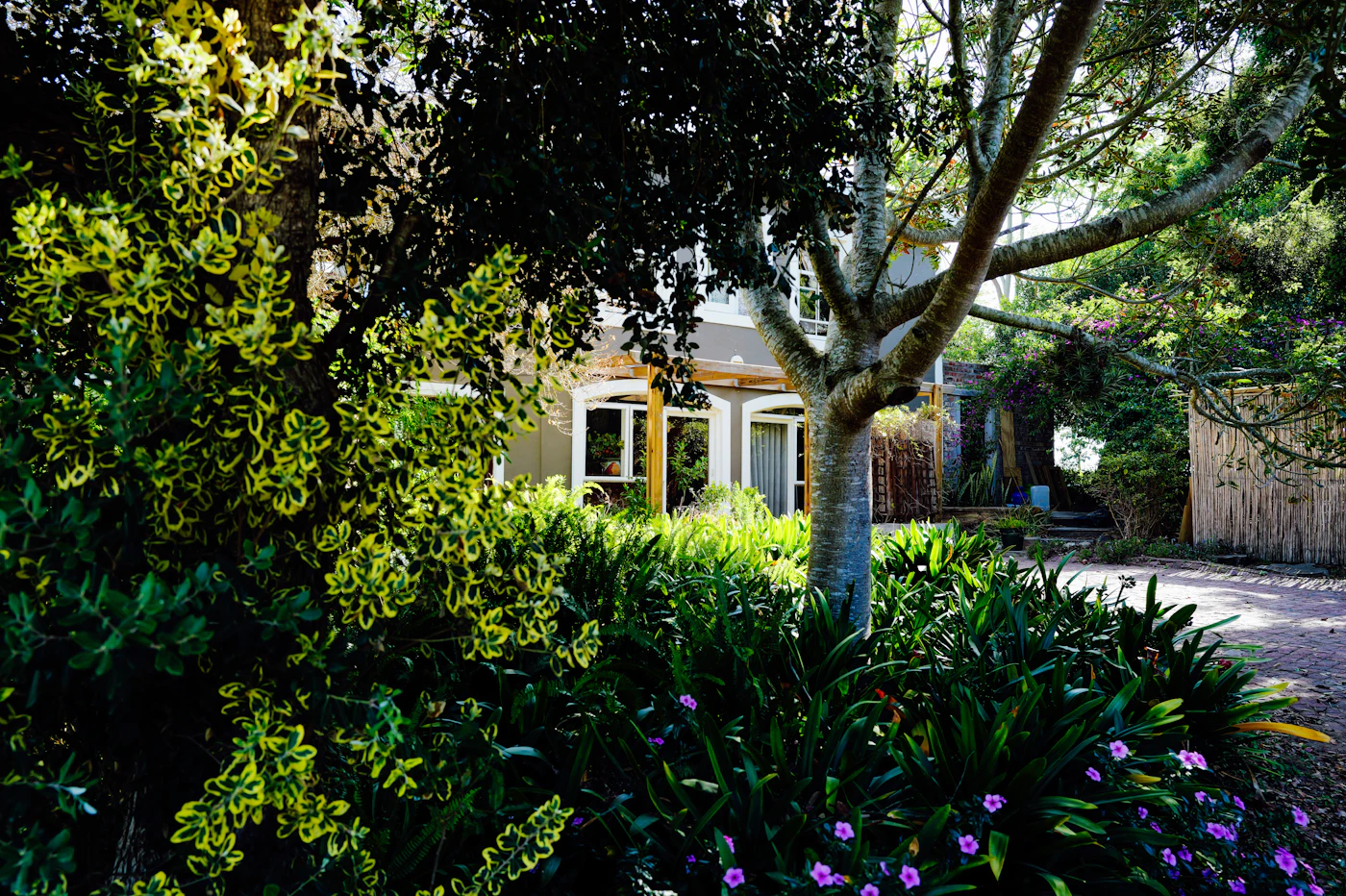 Long Island residential landscape design with layered garden beds, lawn, and mature trees