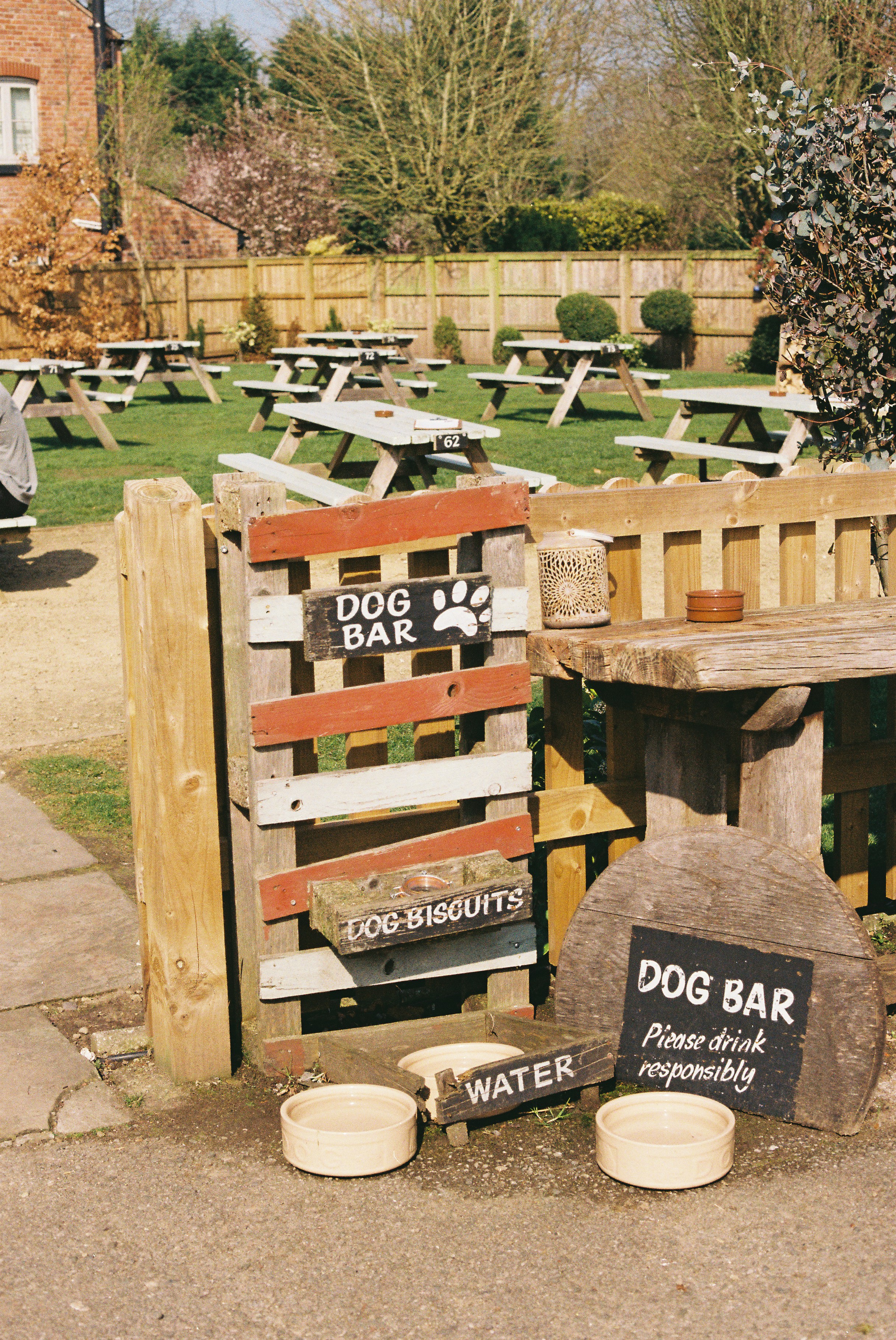 dog friendly restaurant