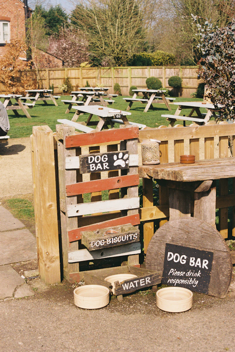 Dog-friendly patio seating at the taproom